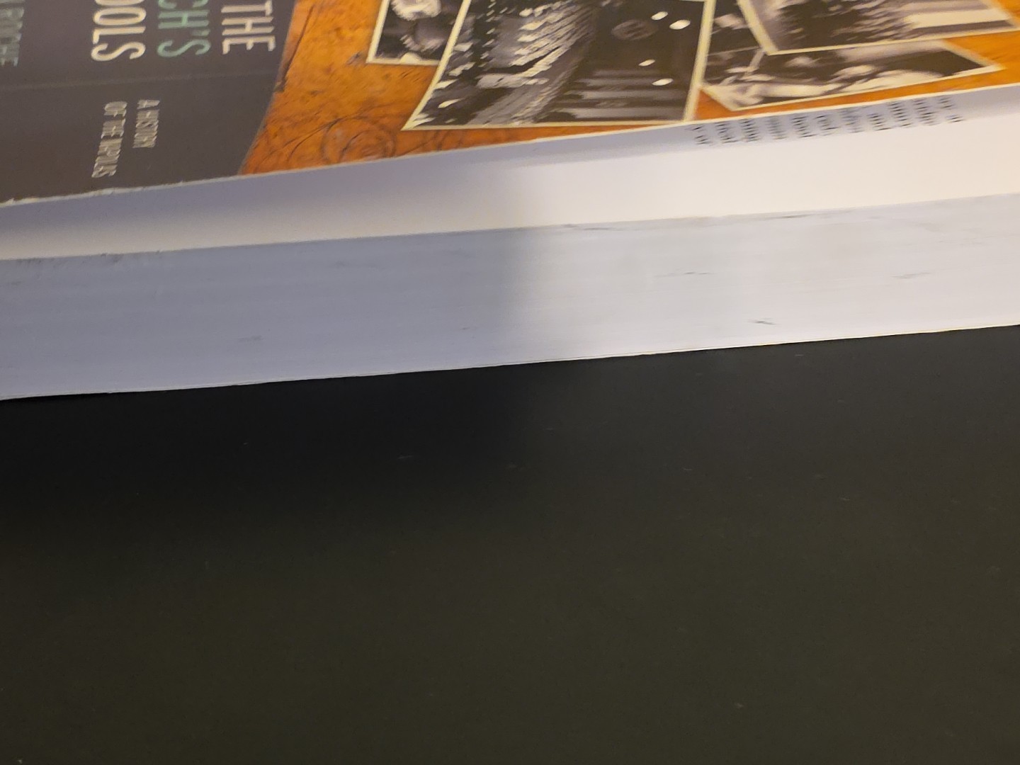 The Third Reich’s Elite Schools: A History of the Napolas by Roche Paper Edition