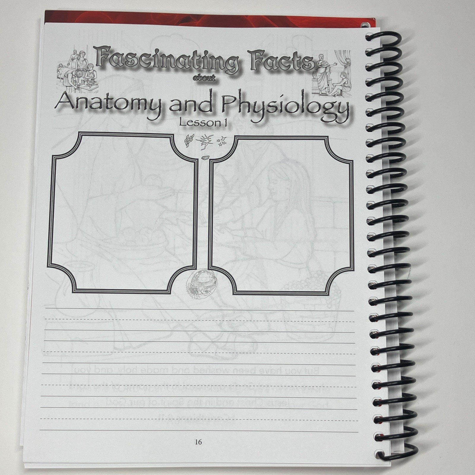 Apologia Junior Anatomy Notebooking Journal Spiral, Young Explorer Series