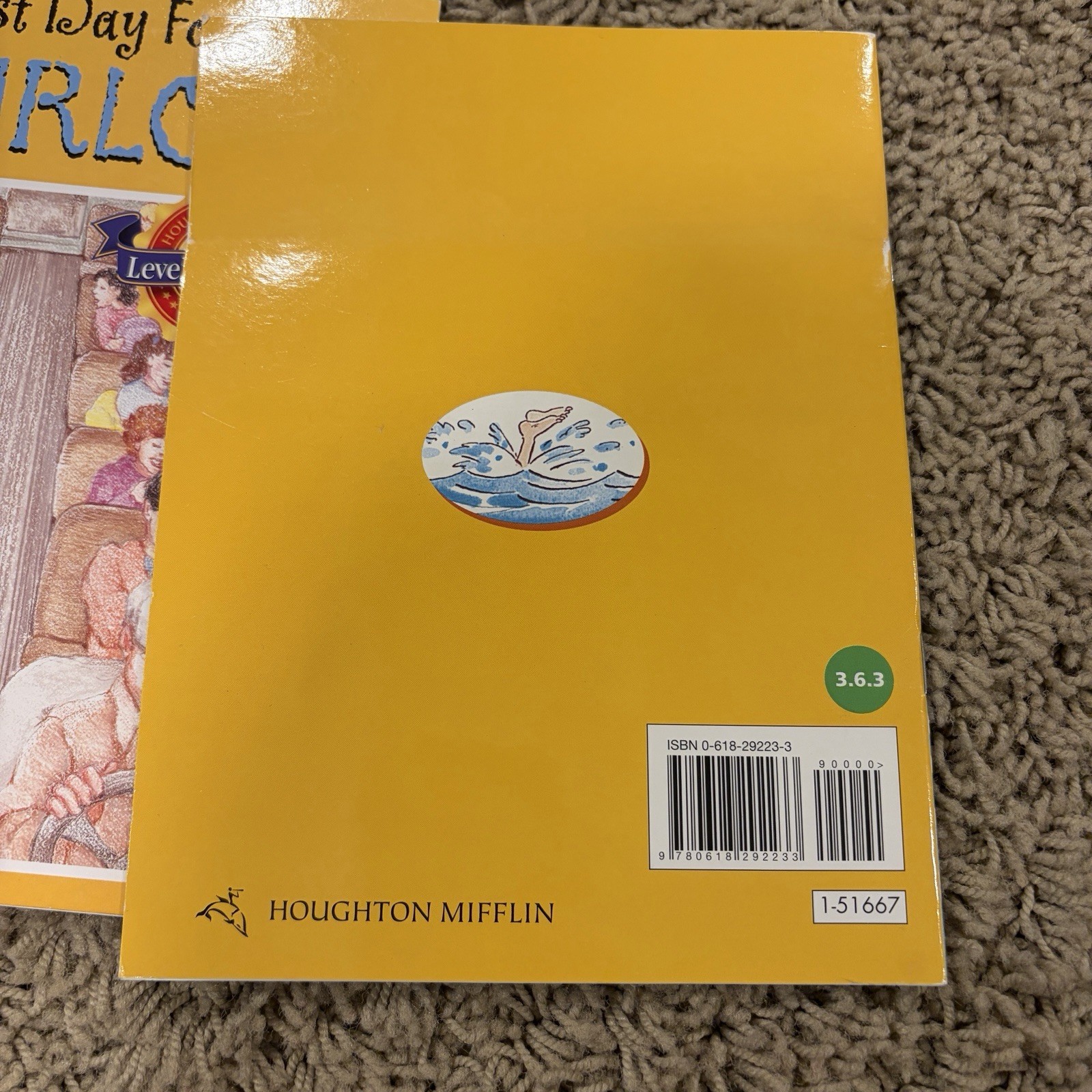 Houghton Mifflin Leveled Readers Level 3 Lot of 65 – 2004