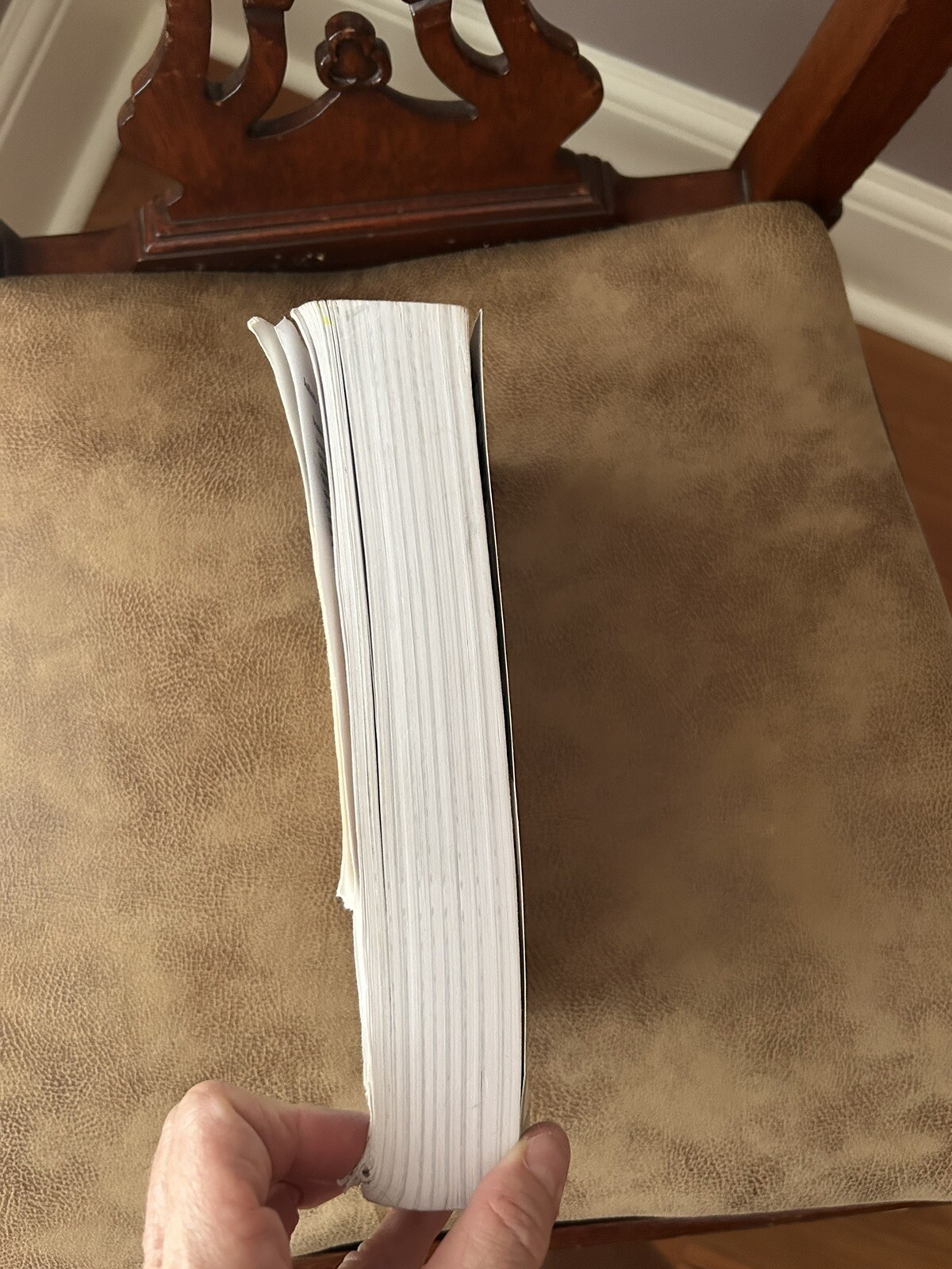 Advanced Placement English Language and Composition by Timothy Freitas, Brandon