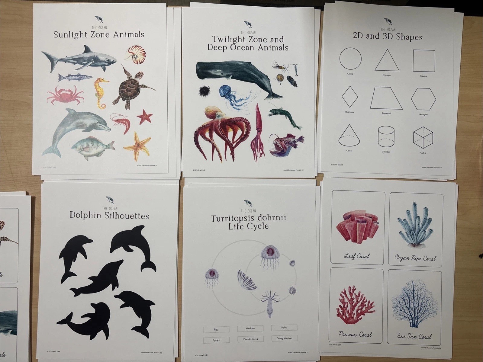 How Wee Learn Homeschool Curriculum Printables Kindergarten Science Animals Set