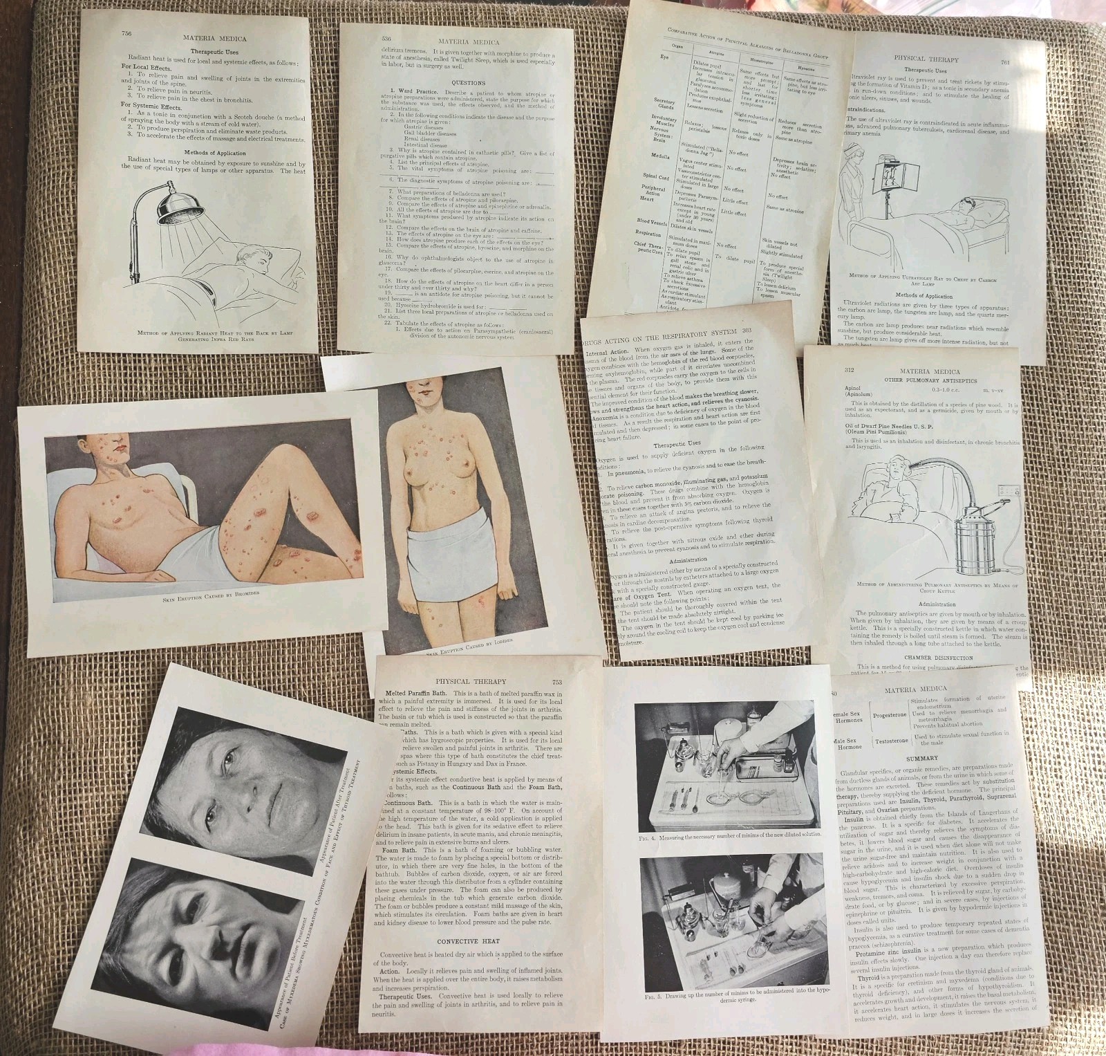 1937 Anatomy Medical Pages Diagrams 11 Pages 5″x7.75″