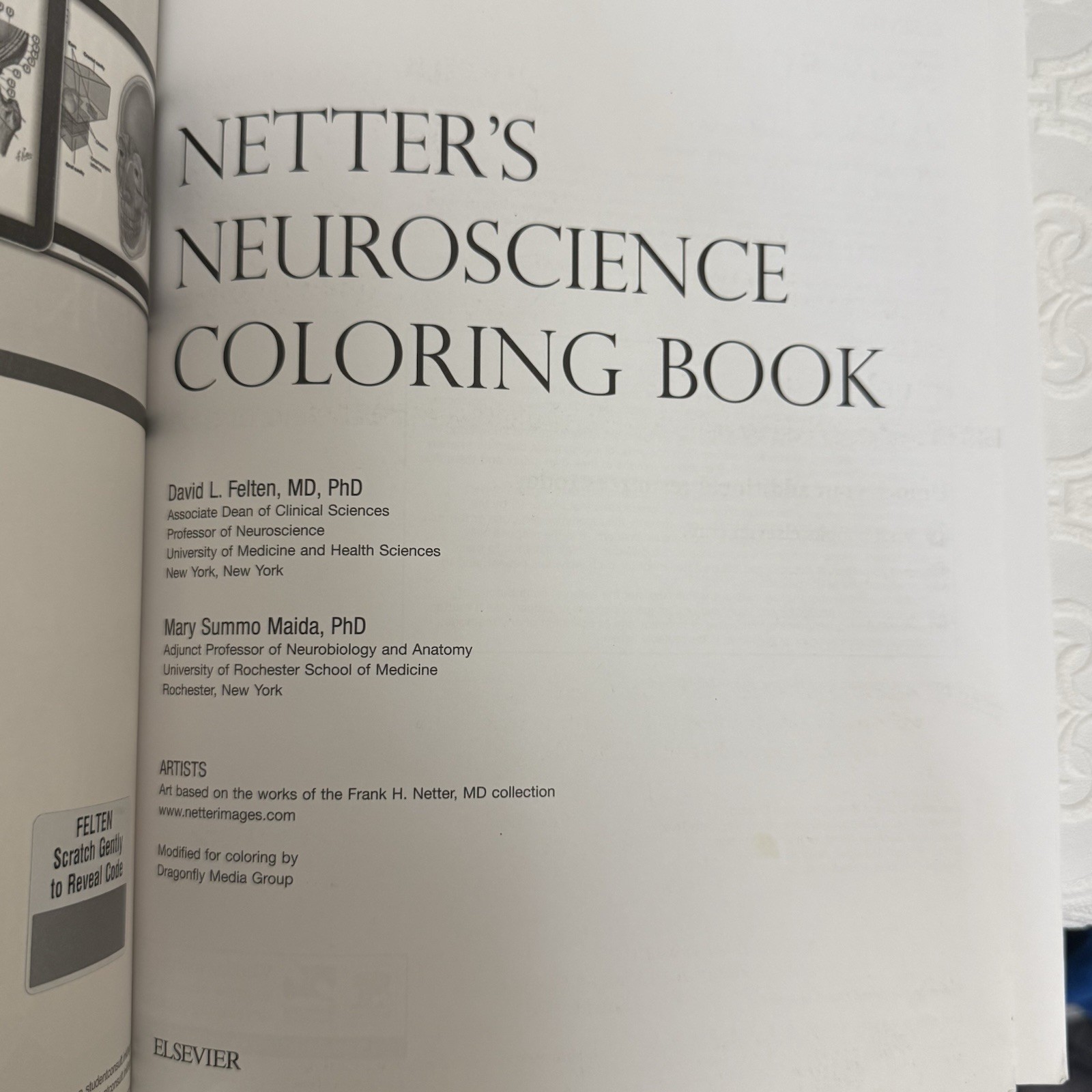 Netter Basic Science Ser.: Netter’s Neuroscience Coloring Book by Mary Summo…