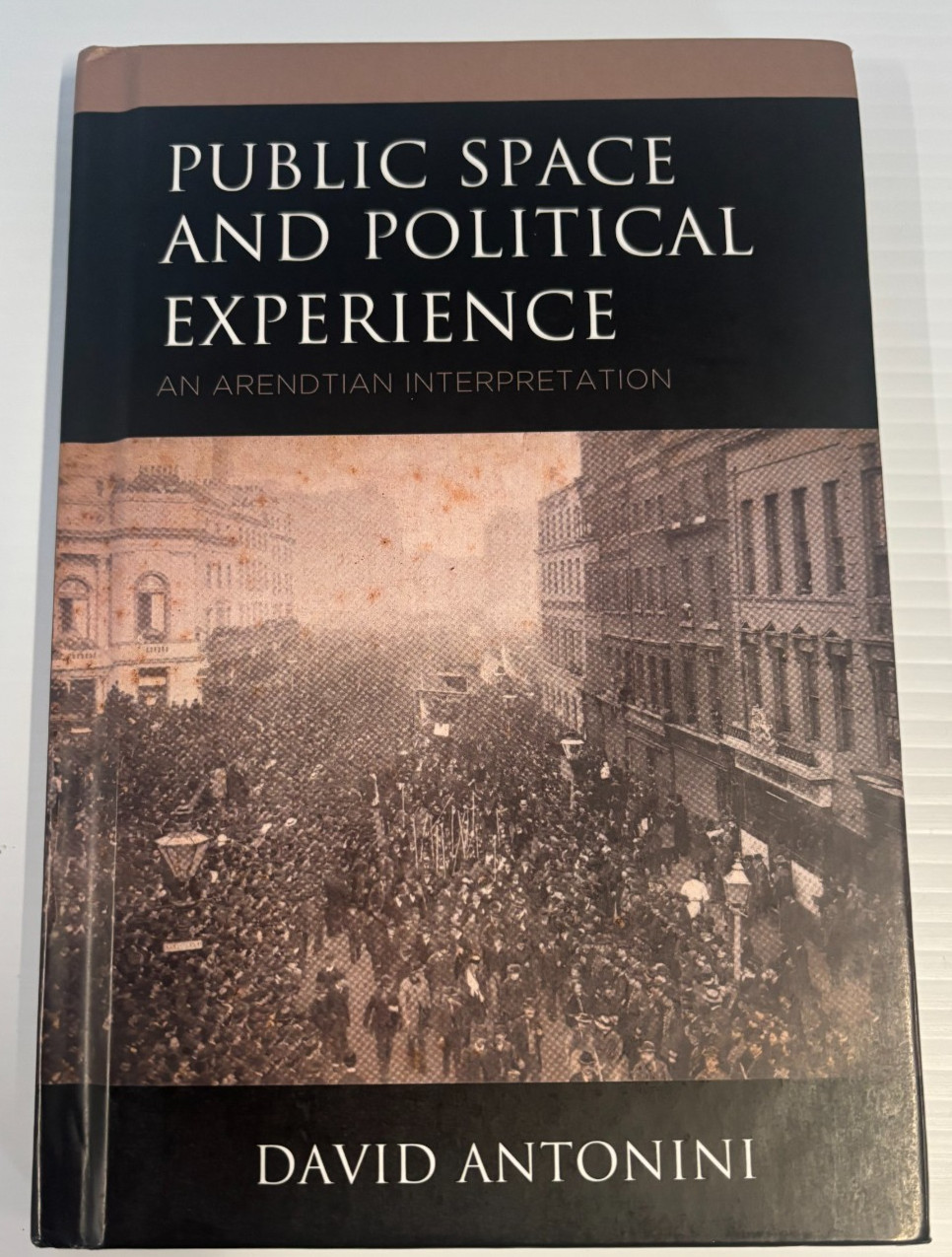Public Space and Political Experience : An Arendtian Interpretation, Hardcover