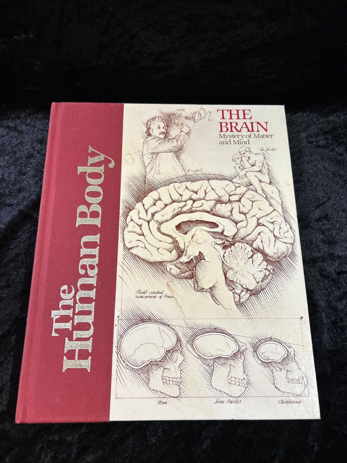 The Human Body: The Brain – Jack Fincher – Hardcover 1981 illustrated