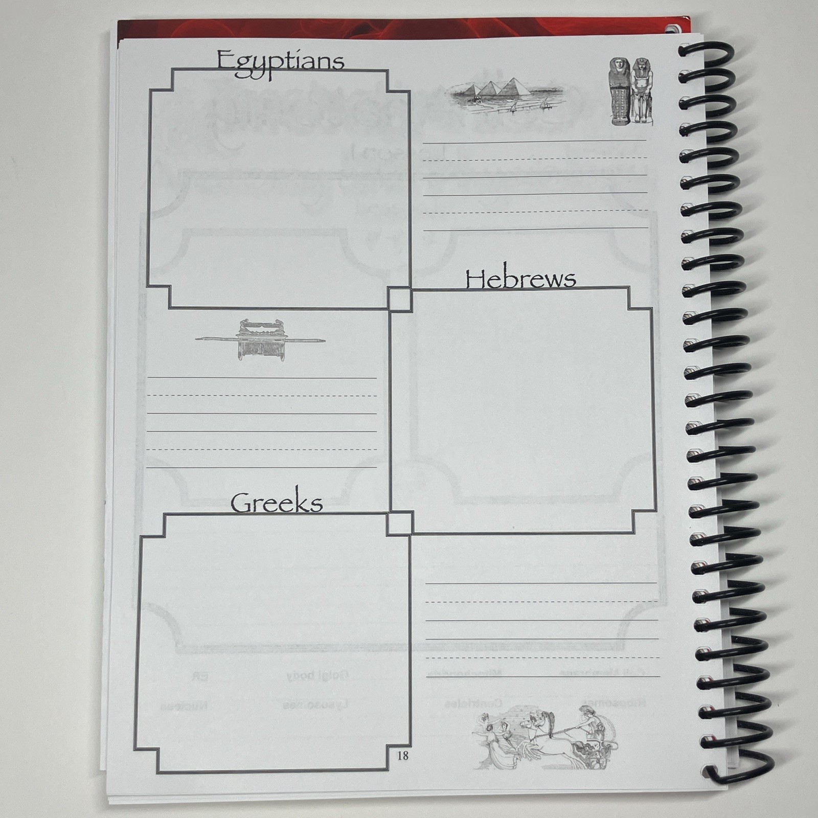 Apologia Junior Anatomy Notebooking Journal Spiral, Young Explorer Series