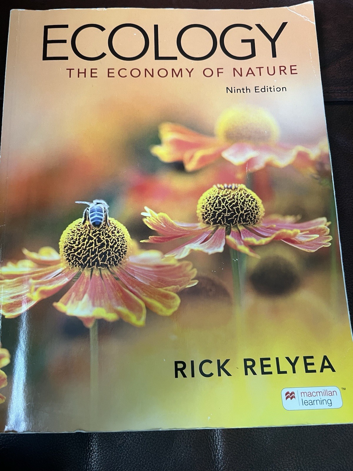 Ecology : The Economy of Nature, Paperback by Relyea, Rick