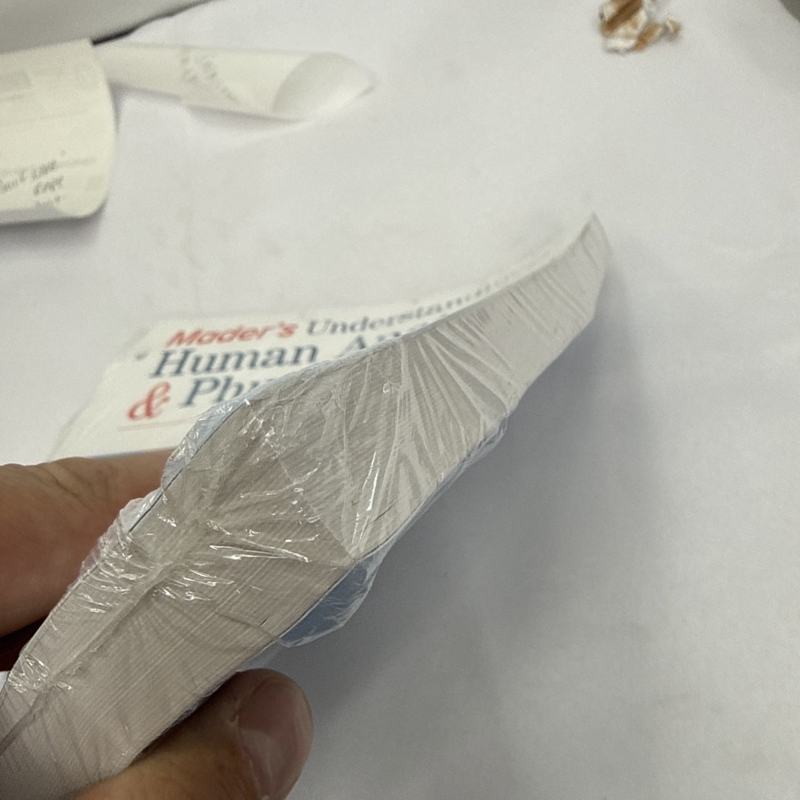 Loose Leaf Version for Mader’s Understanding Human Anatomy & Physiology 10th Ed