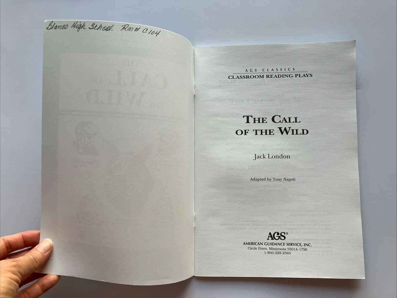 AGS Classics Call of the Wild Classroom Reading Play Homeschool