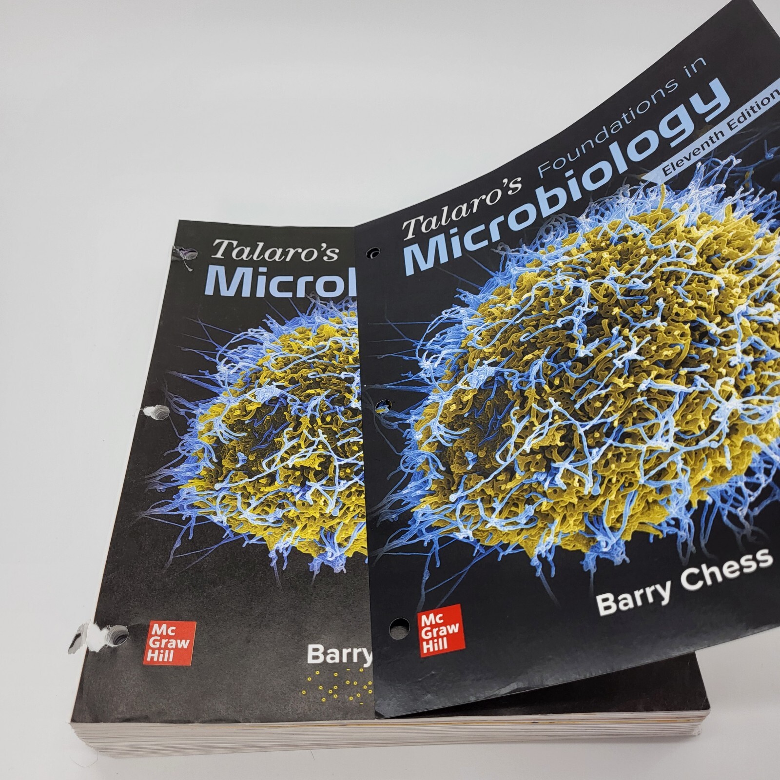 Talaro’s Foundations in Microbiology 11th Edition – Loose Leaf Pages Barry Chess