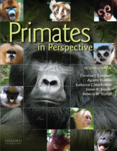 Primates in Perspective by Campbell, Christina