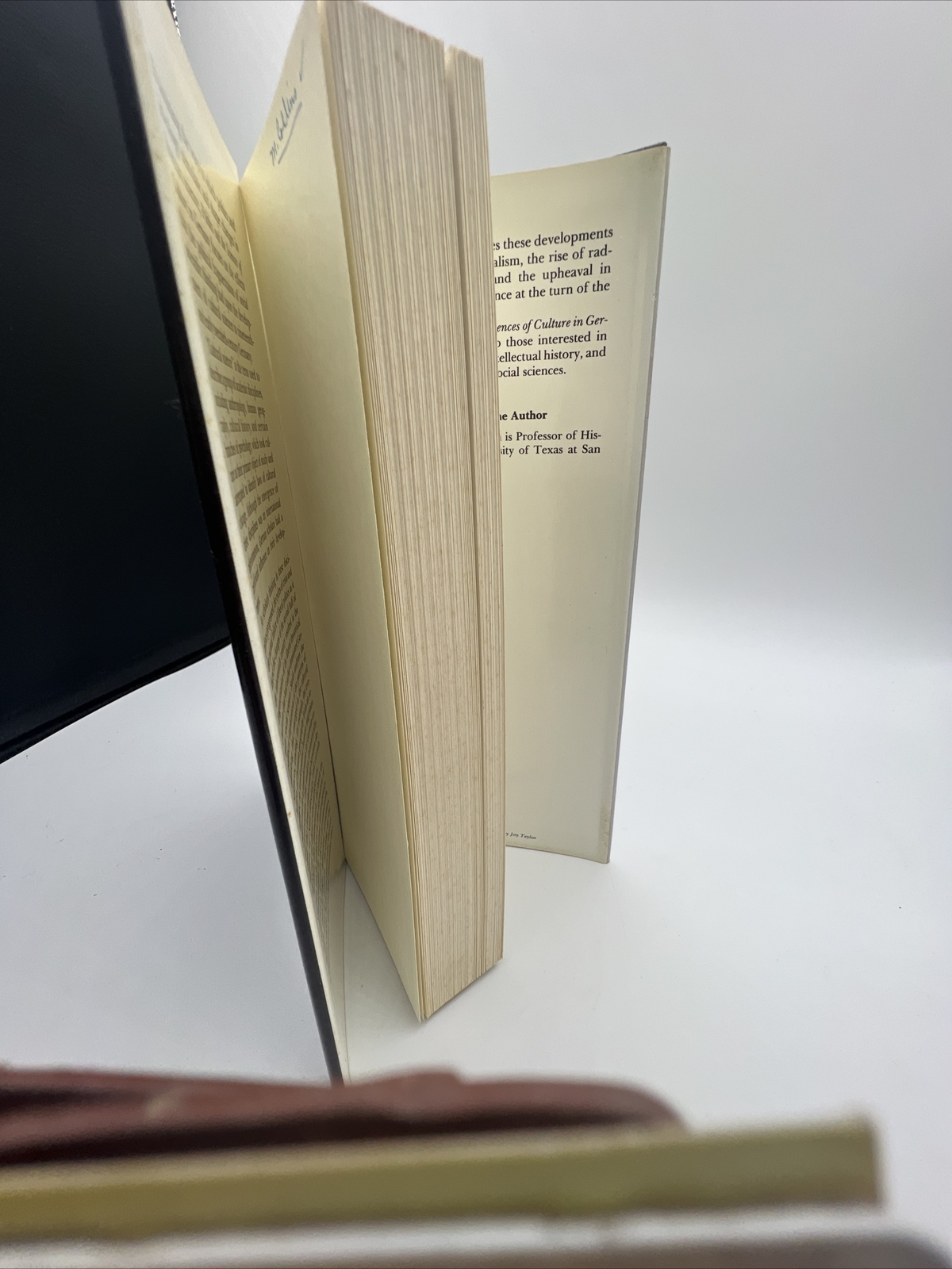 Politics and the Sciences of Culture in Germany, 1840-1920 By Woodruff D Smith