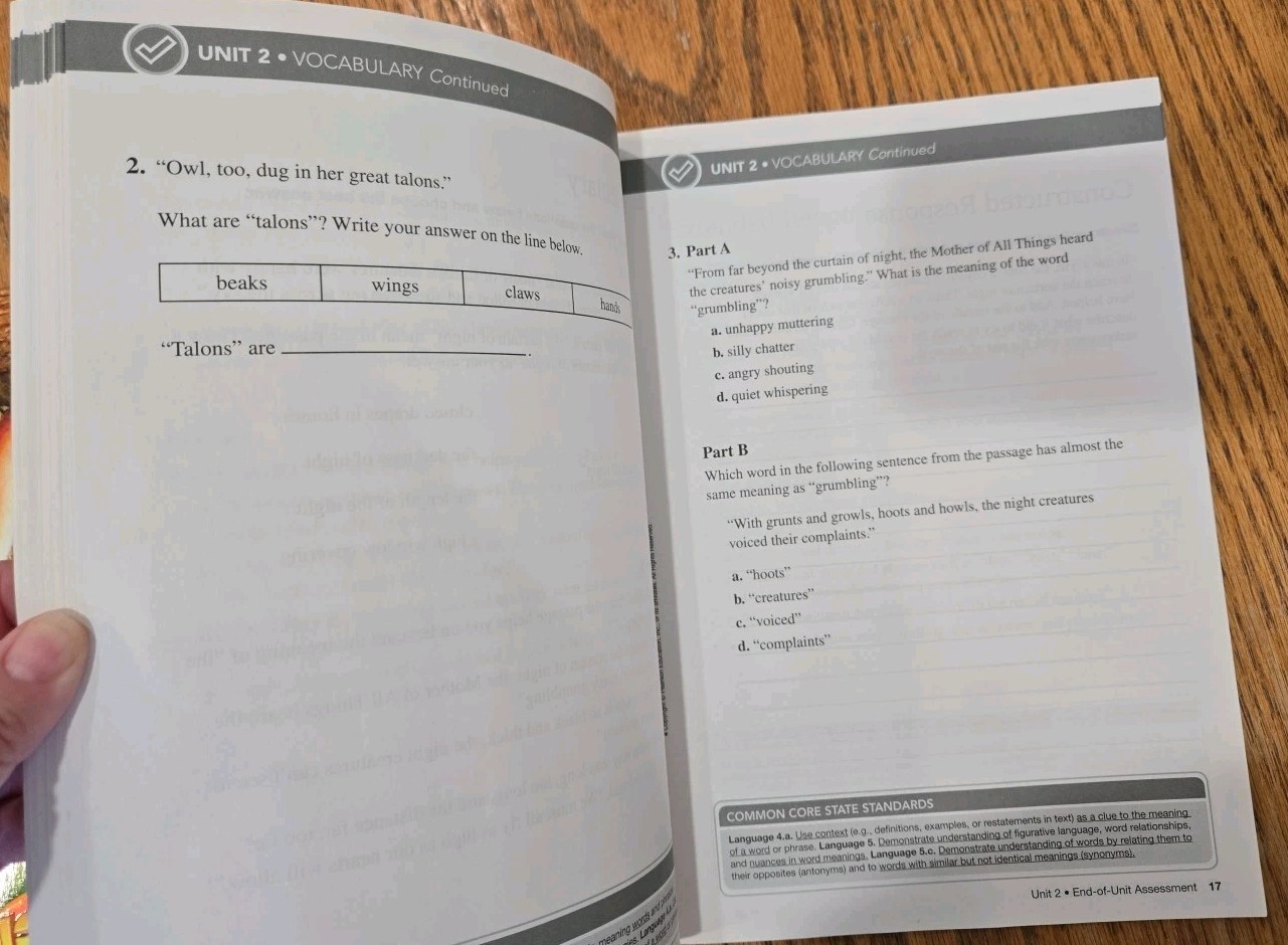 ReadyGEN Assessment Student Book Grade 4 PEARSON Homeschool/Classroom Excellent