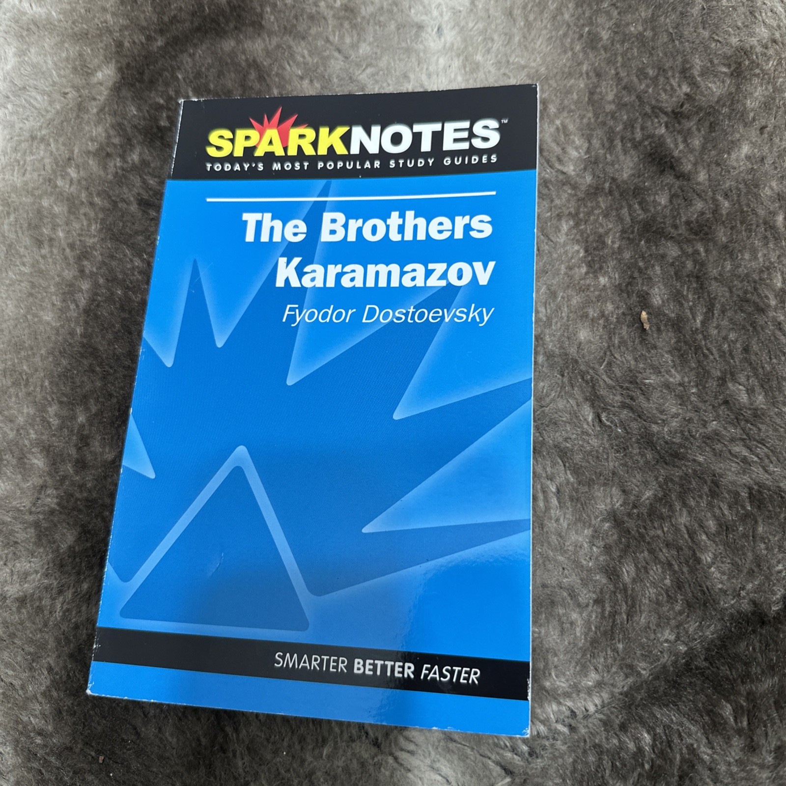 Sparknotes Literature Guide Ser.: Brothers Karamazov by Fyodor Dostoevsky (2002,