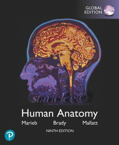 Human Anatomy 9E Global Edition