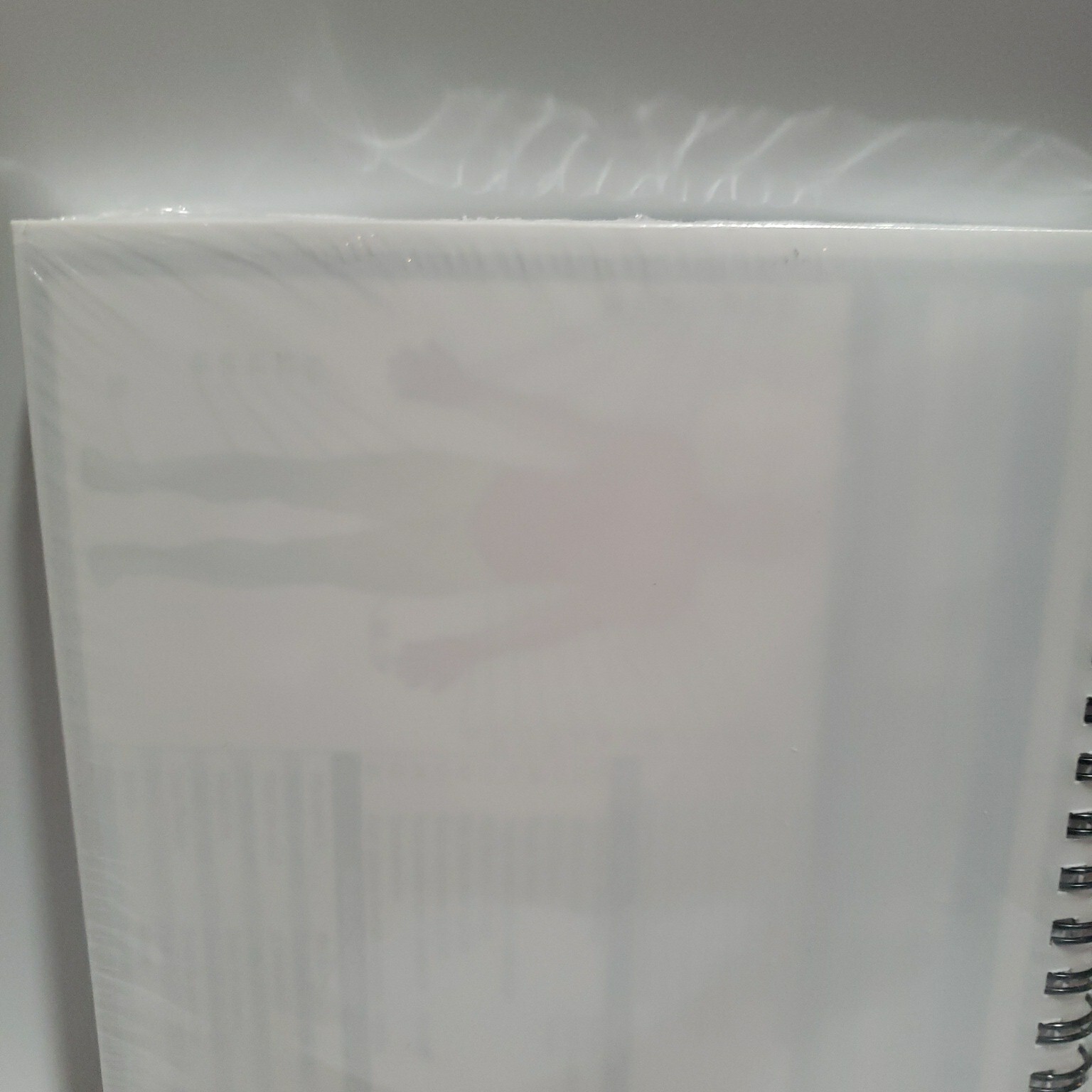 Medical Basics Progress SOAP and H&P Notebook