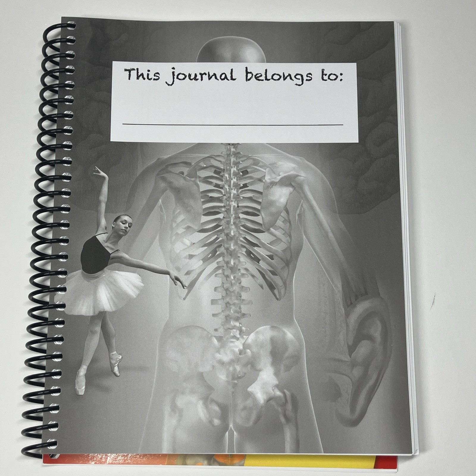 Apologia Junior Anatomy Notebooking Journal Spiral, Young Explorer Series