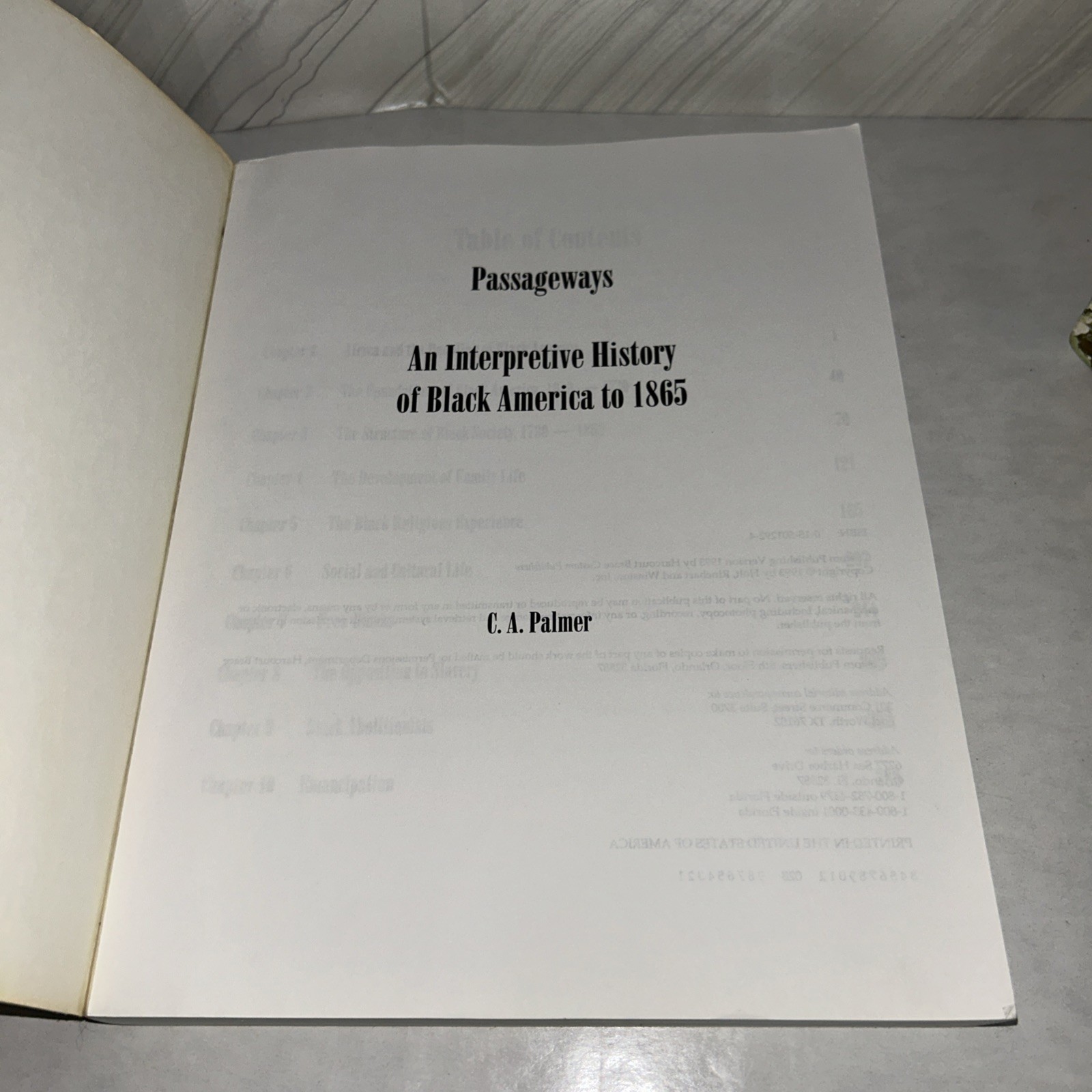 Passageways An Interpretive History Of Black America To 1865 by C.A. Palmer K2