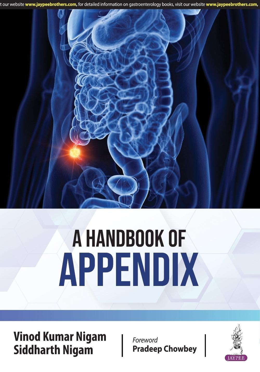 A Handbook of Appendix by VK Nigam Paperback Book