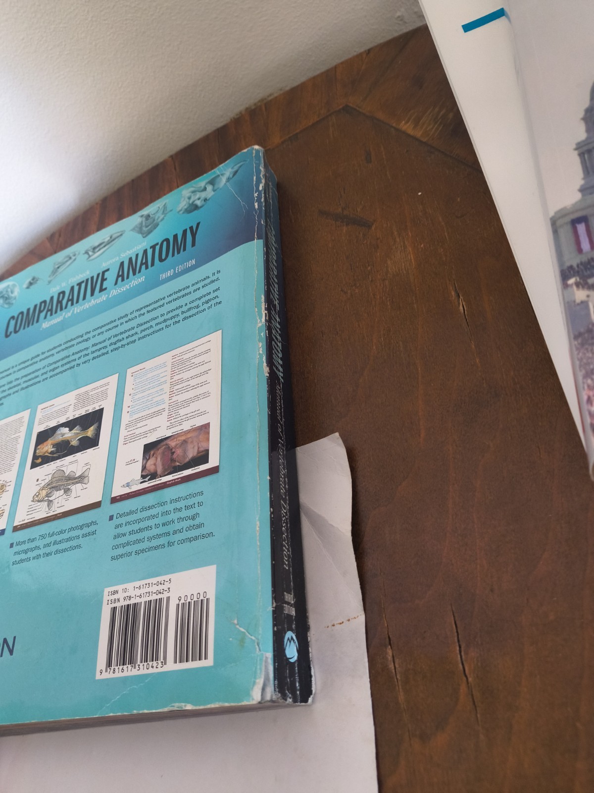 Instructor Edition: Comparative Anatomy : Manual of Vertebrate Dissection