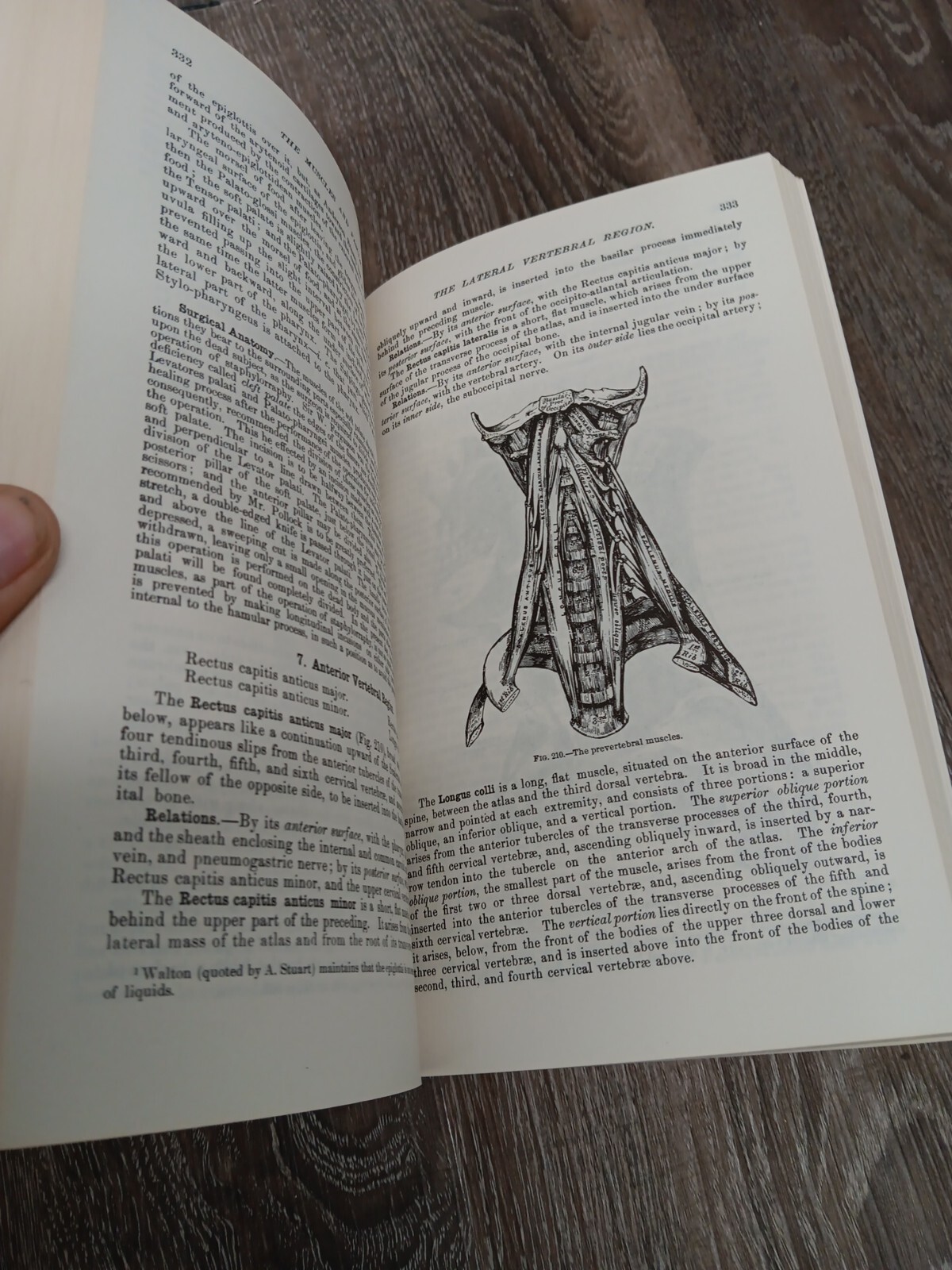 Gray’s Anatomy The ILLUSTRATED Running Press Edition Of The American Classic ’74
