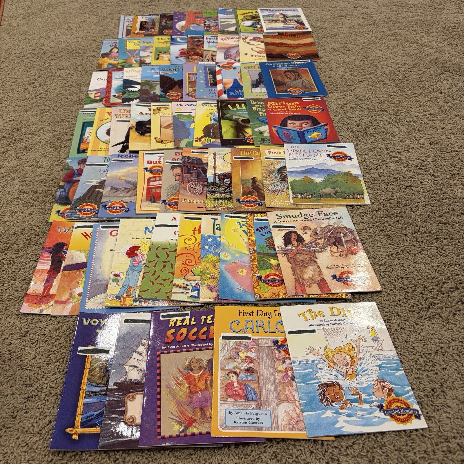 Houghton Mifflin Leveled Readers Level 3 Lot of 65 – 2004