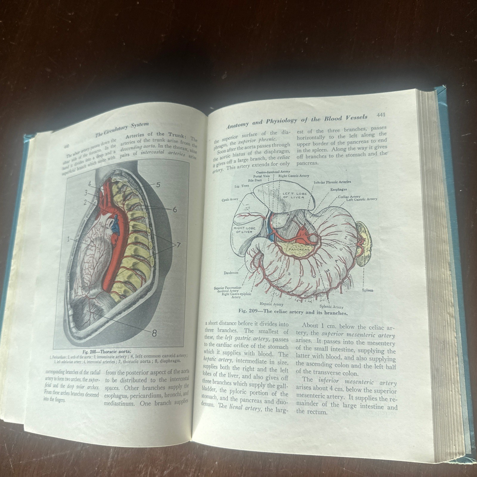 Anatomy & Physiology 3rd Ed 1946 By Frederic Jung &Elizabeth Earle 338 Illustra