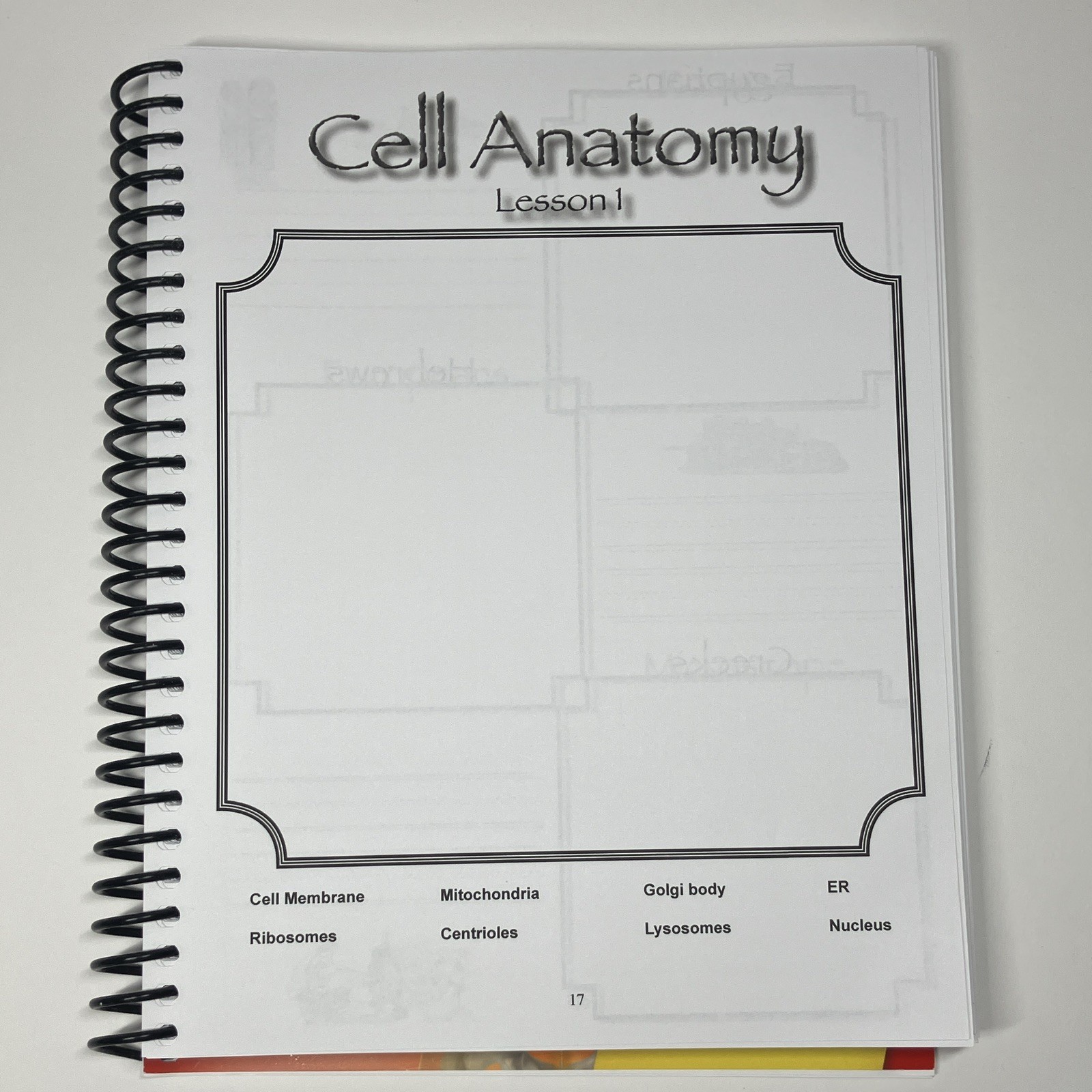 Apologia Junior Anatomy Notebooking Journal Spiral, Young Explorer Series