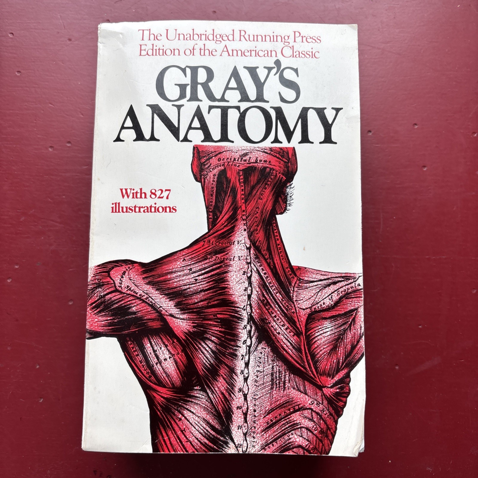 Gray’s Anatomy : The Unabridged Running Press Edition of the American Classic by