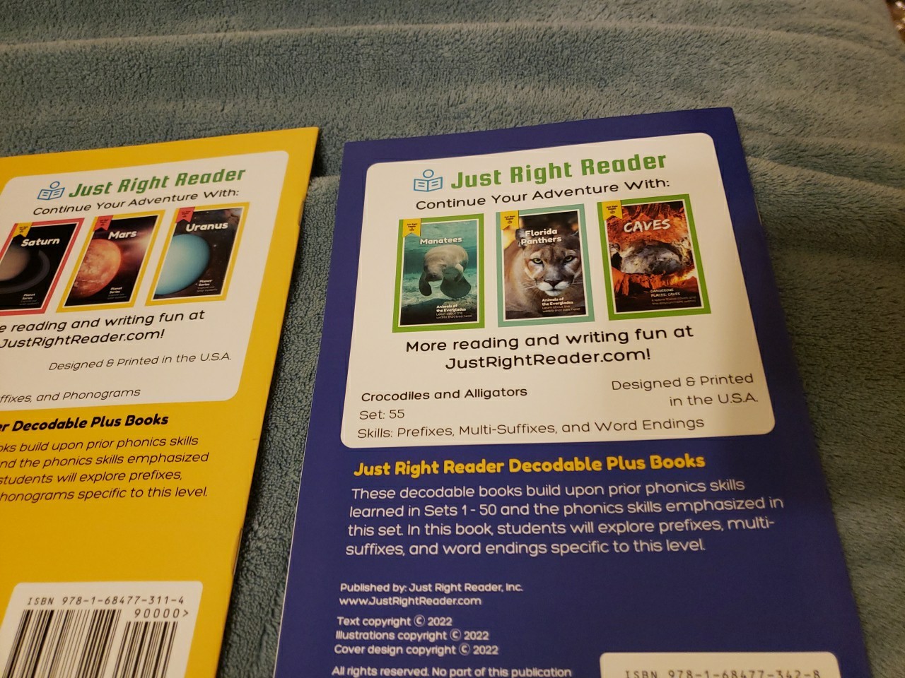 Decodables Just Right Readers High Interest Dyslexia Tutoring Lot Of 25