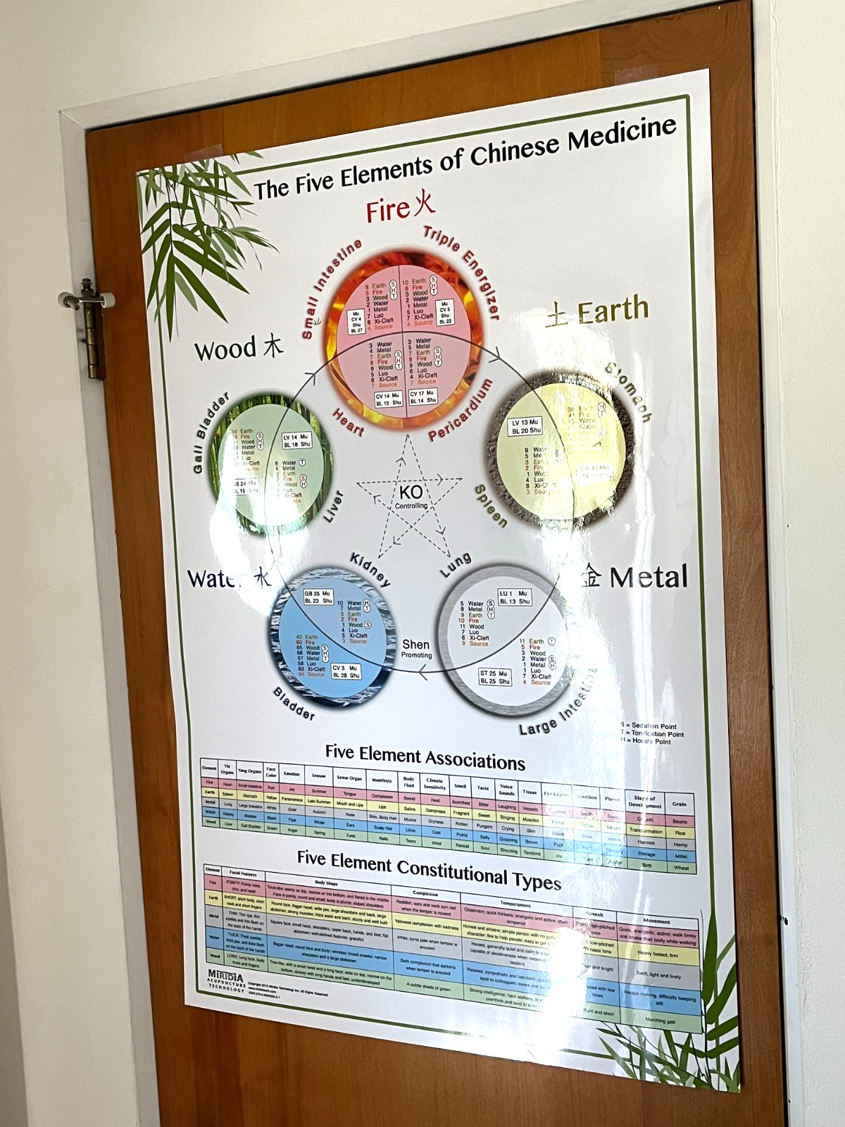 Laminated Wall Chart The Five Elements of Chinese Medicine Miridia Acupuncture