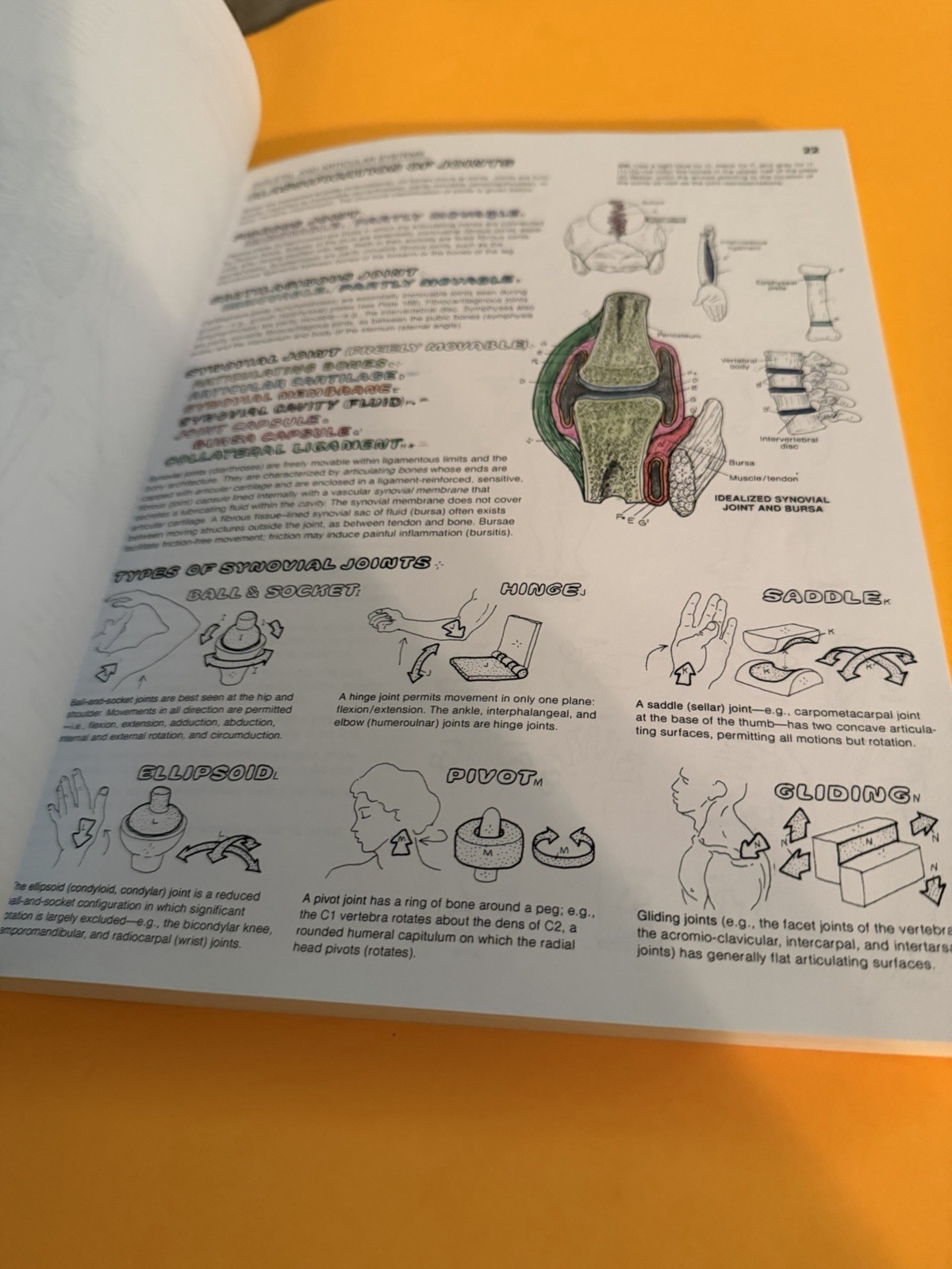 The Anatomy Coloring Book by Lawrence M. Elson Please Read Description