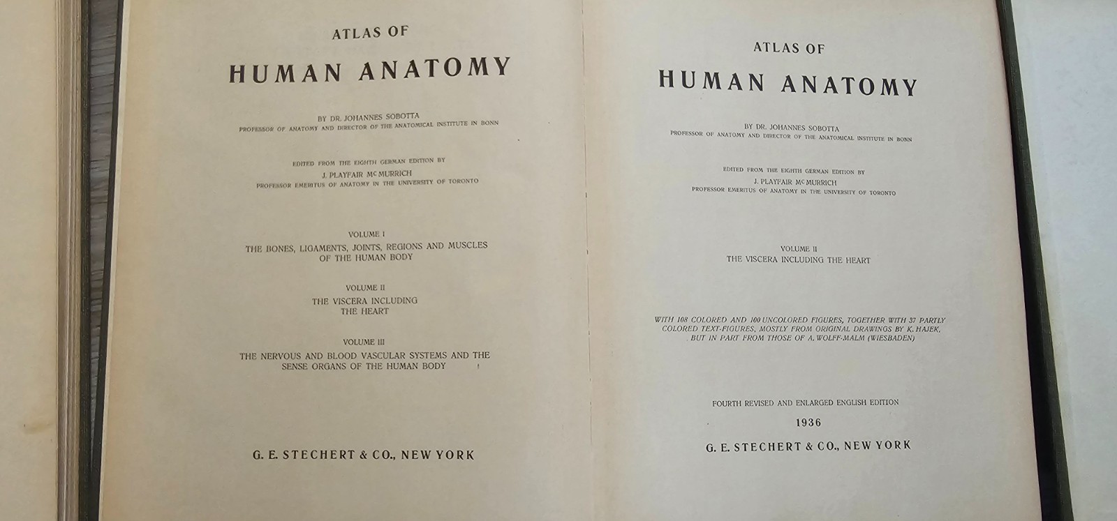 Atlas of Human Anatomy Sobotta-McMurrich 3 volume 1936