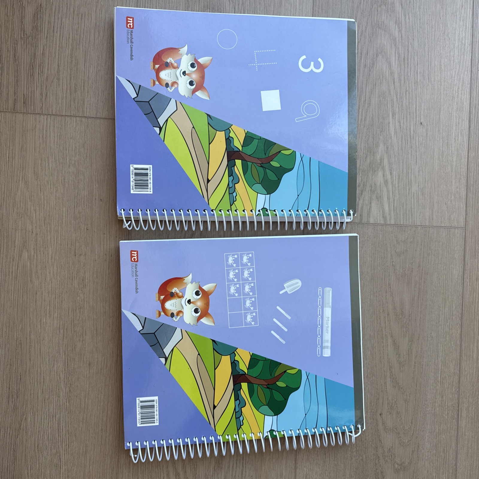 Primary Mathematics Teachers Guide KA And KB Homeschool Singapore