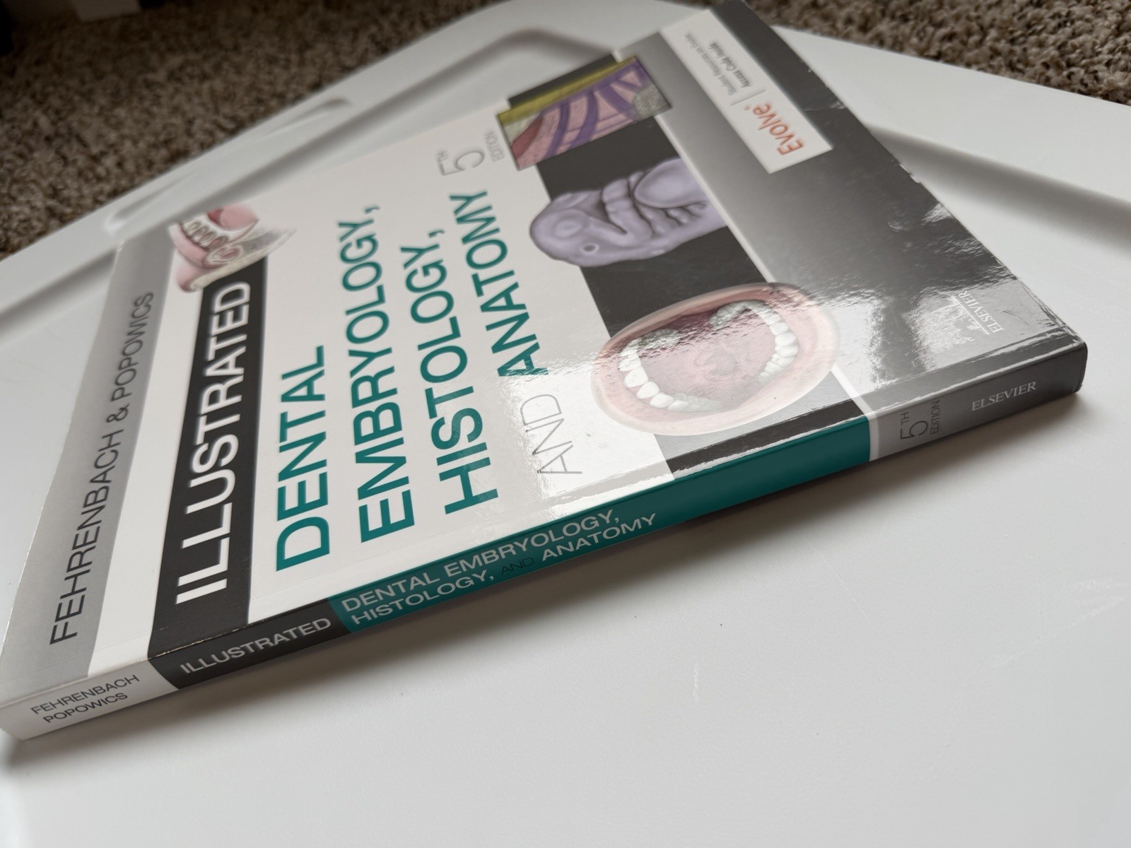 Illustrated Dental Embryology, Histology, and Anatomy by Margaret J. Fehrenbach