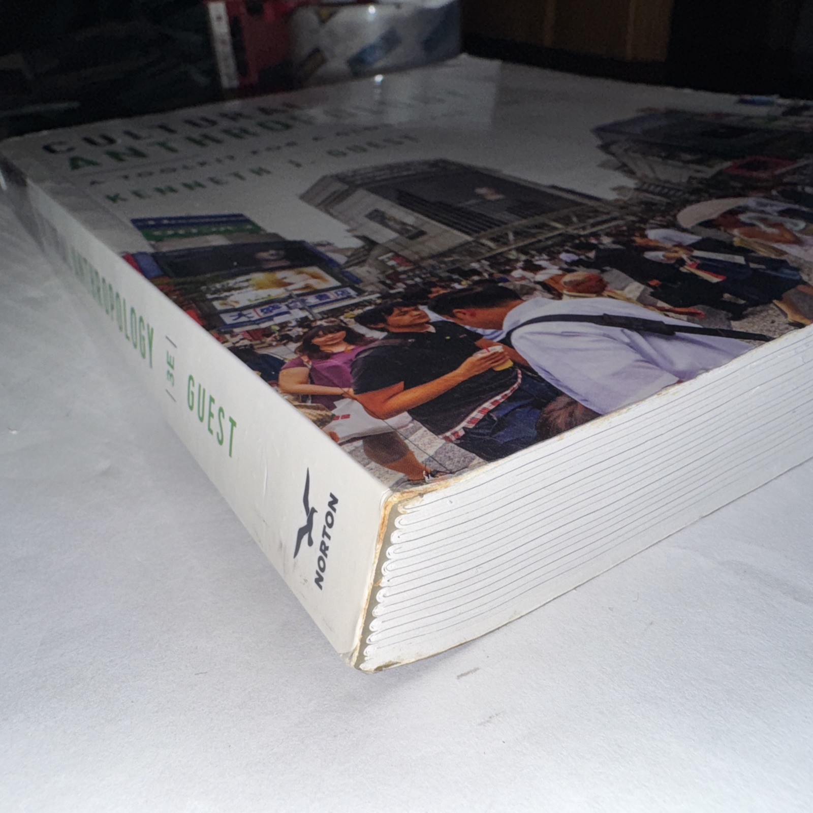 Cultural Anthropology A Toolkit For A Global Age 3rd Ed By Kenneth J. Guest