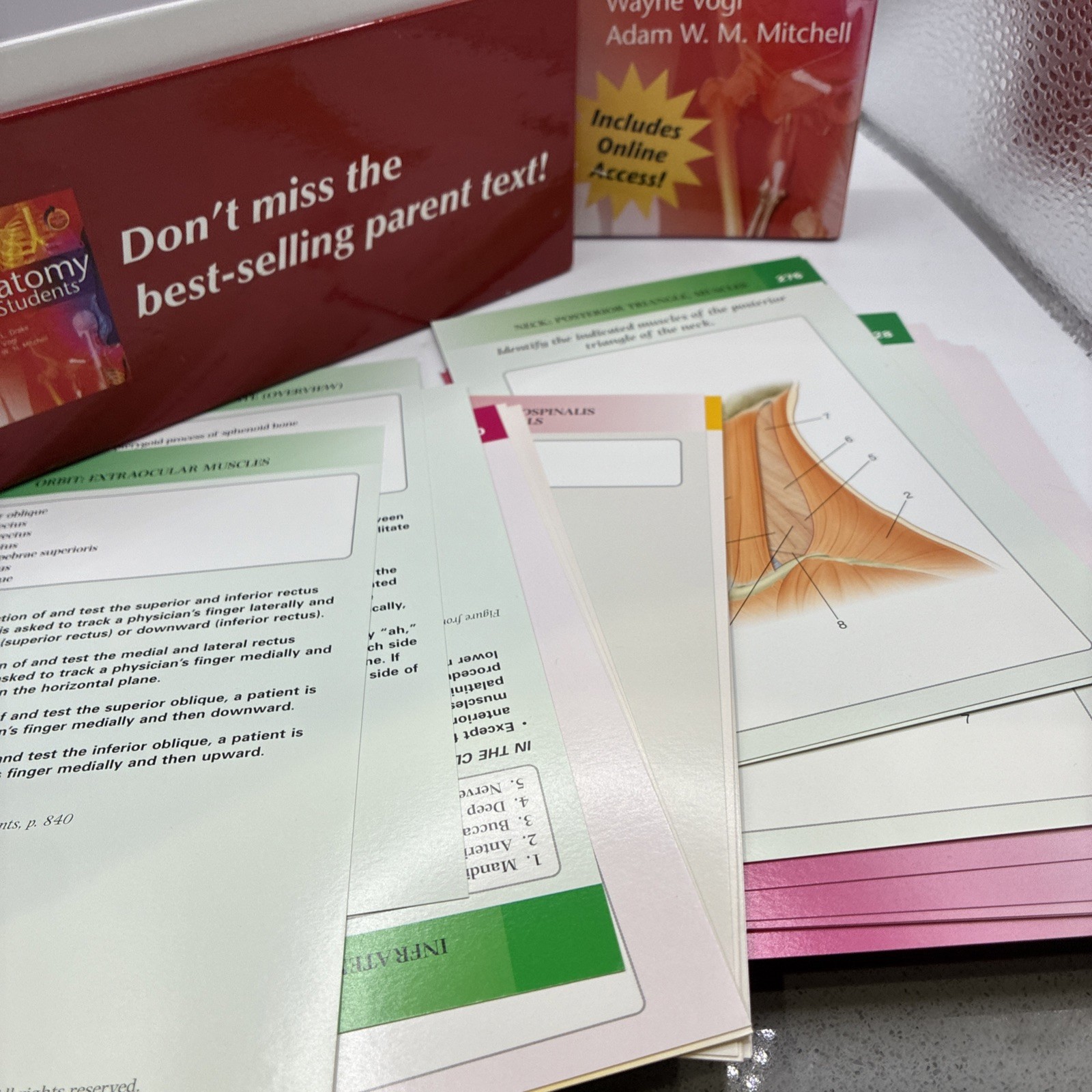 Gray’s Anatomy Flash Cards Excellent Condition Very Informative Great For Study