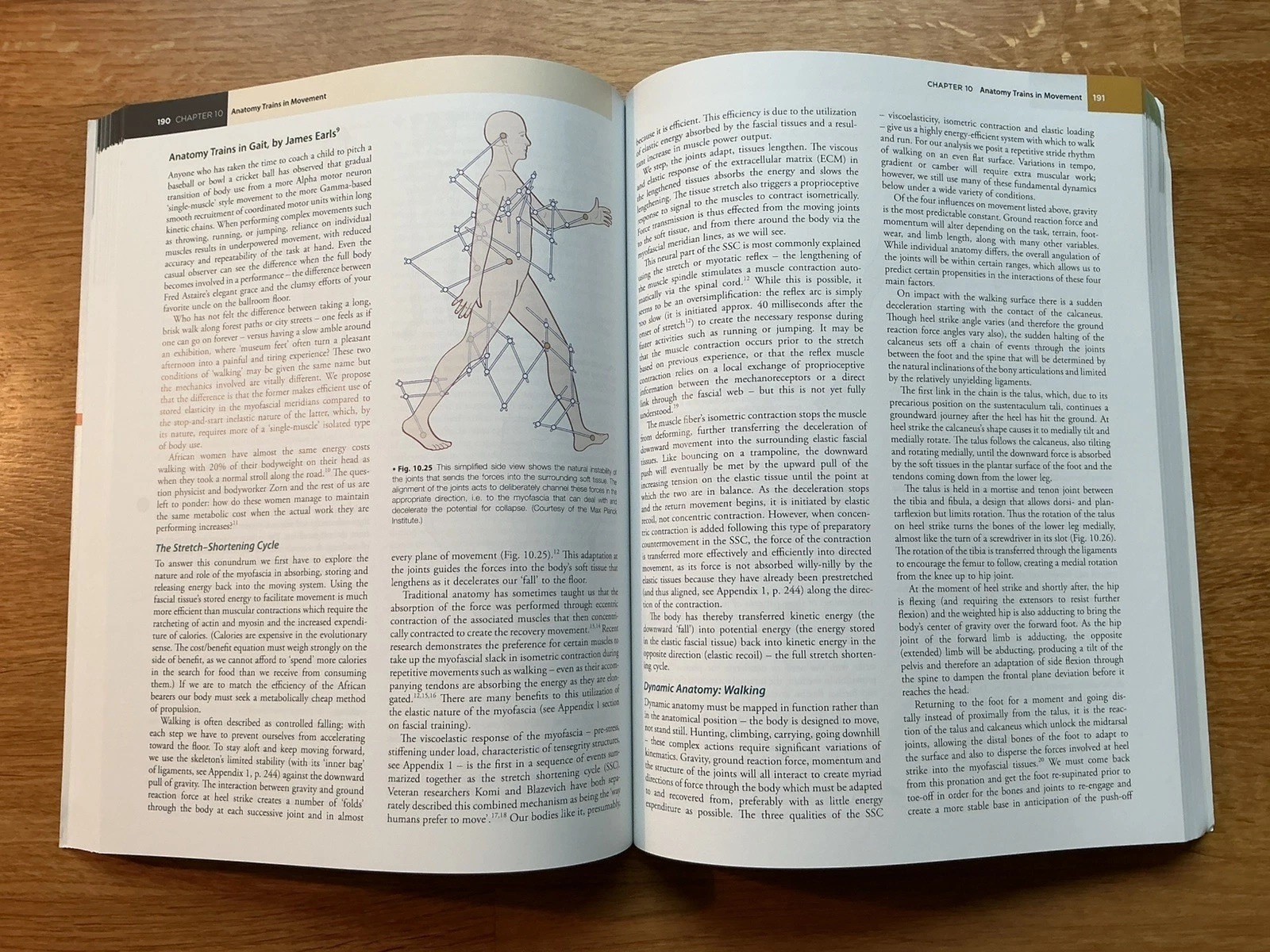 Anatomy Trains by Thomas W. Myers 9780702078132 Structural integration Rolfing