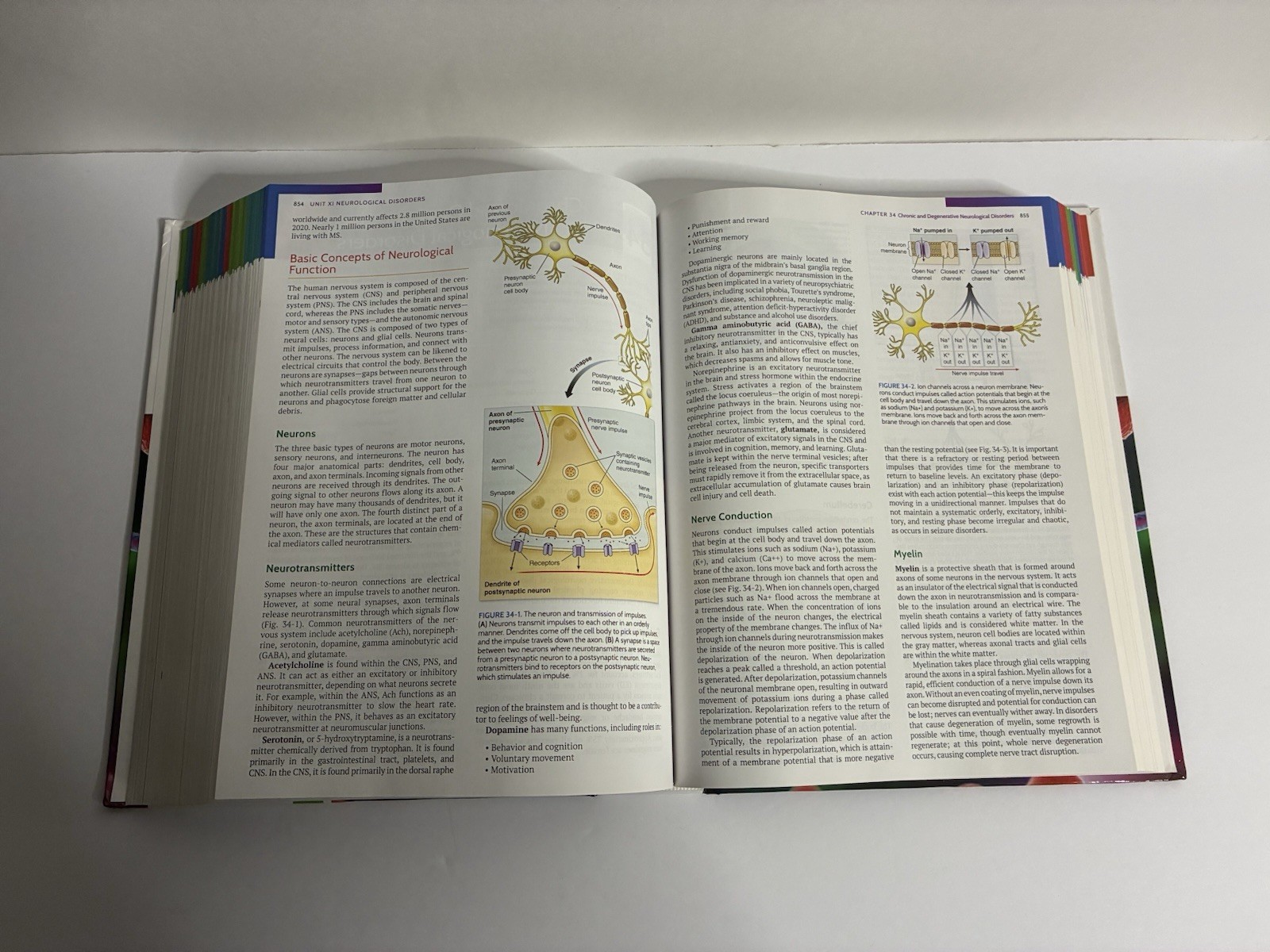 F.A. Davis Davis Advantage Pathophysiology 3rd Ed Capriotti (No Access Code)