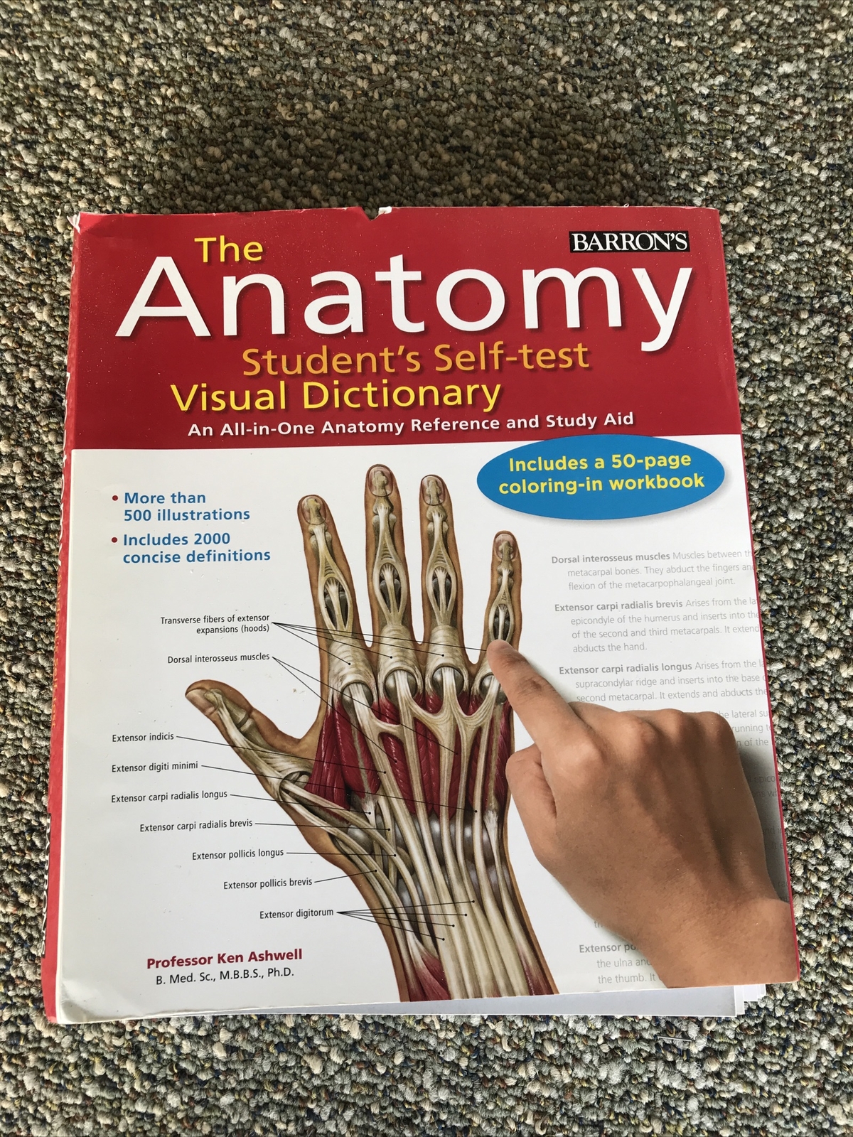 barrons the anatomy students self test visual dictionary 304pages 2011 1st editi