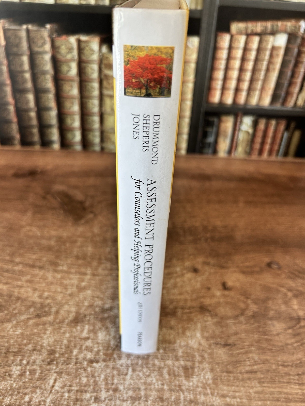Assessment Procedures for Counselors and Helping Professionals (8th Edition)