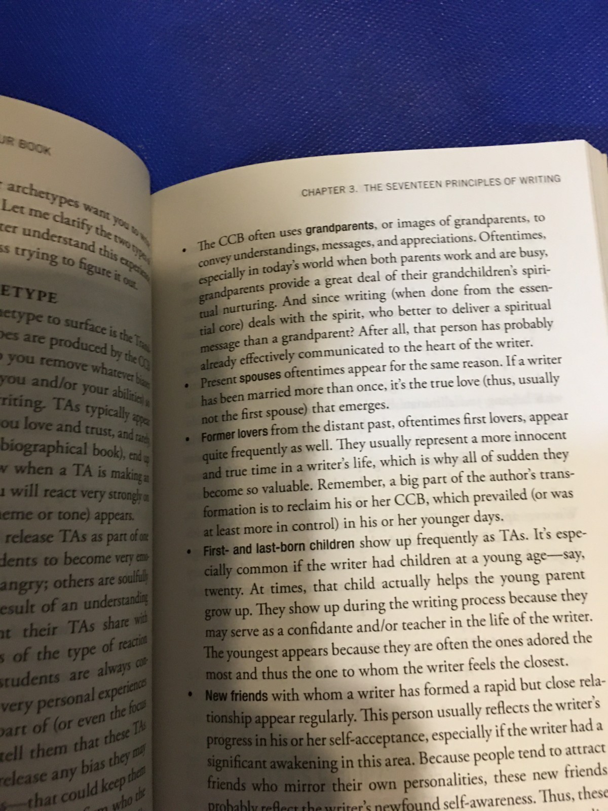 The Call of the Writer’s Craft by Tom Bird paperback
