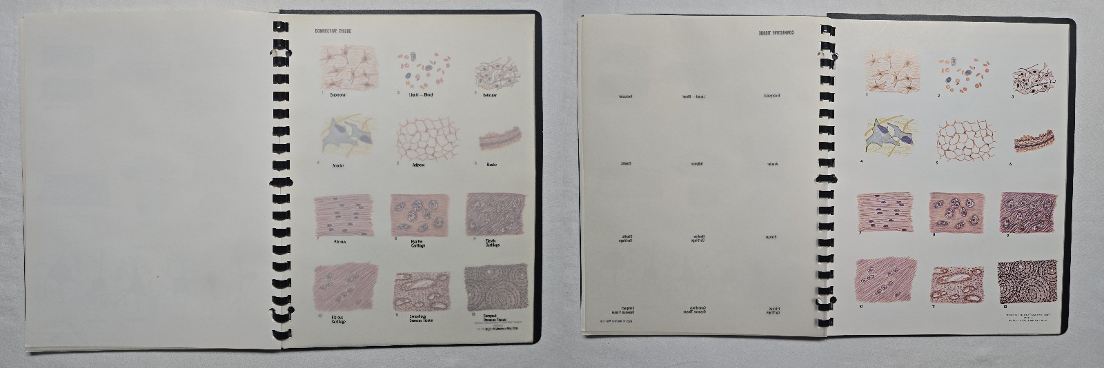 Schick Notebook Charts Human Anatomy Softcover Spiral Bound Book (1987)