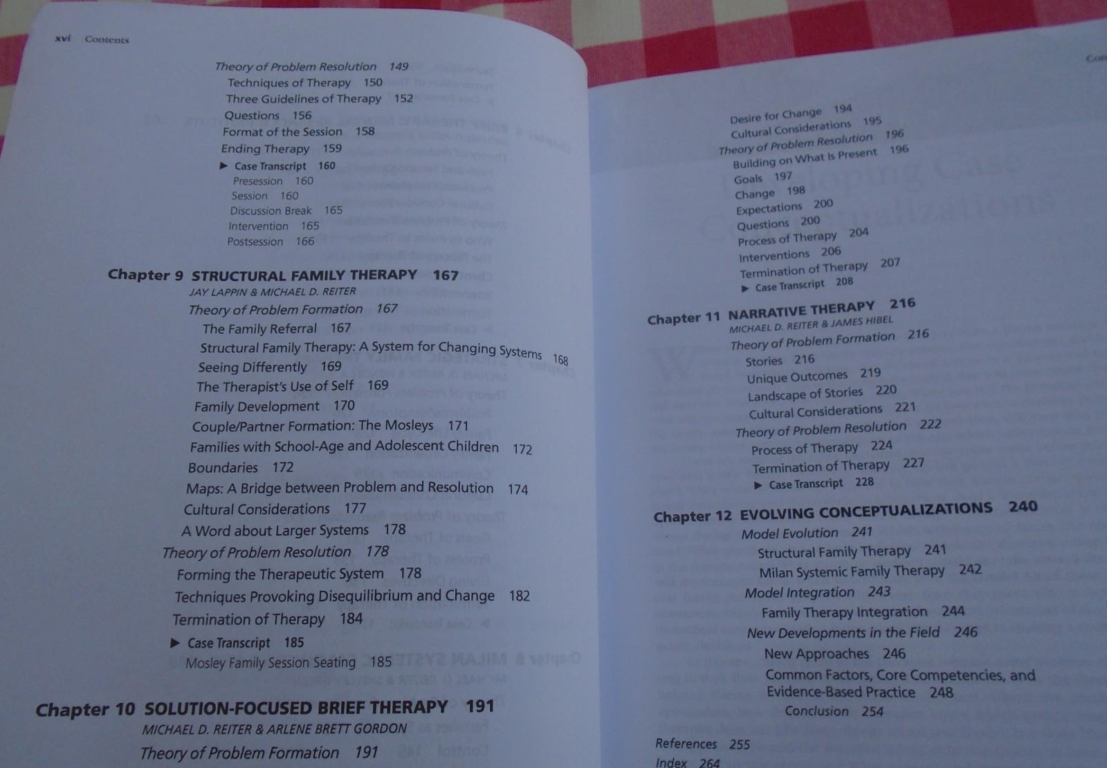 Case Conceptualization in Family Therapy by Michael Reiter
