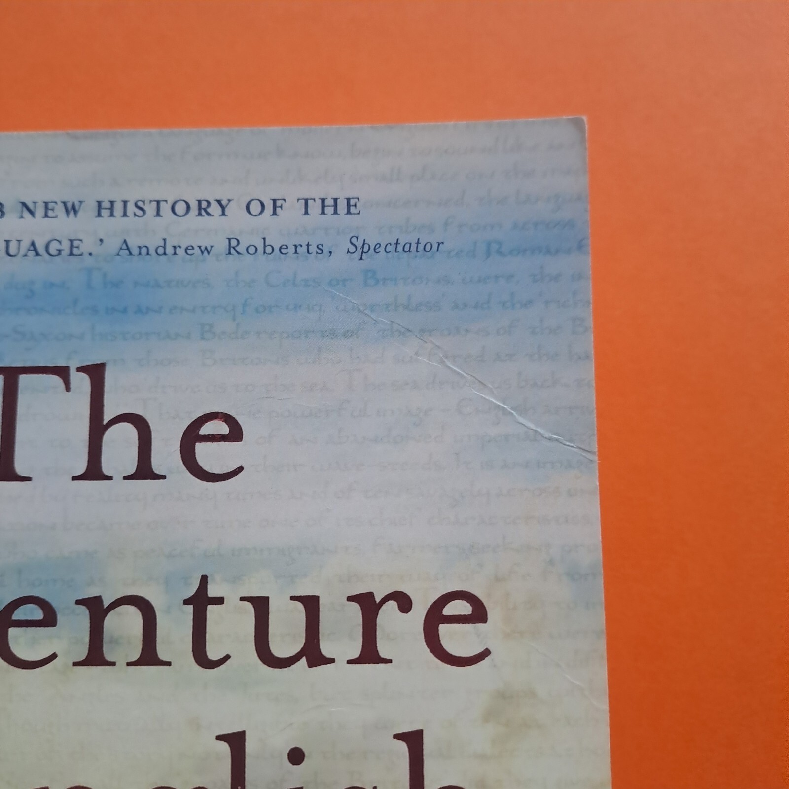 The Adventure Of English: The Biography of a Language by Melvyn Bragg Paperback