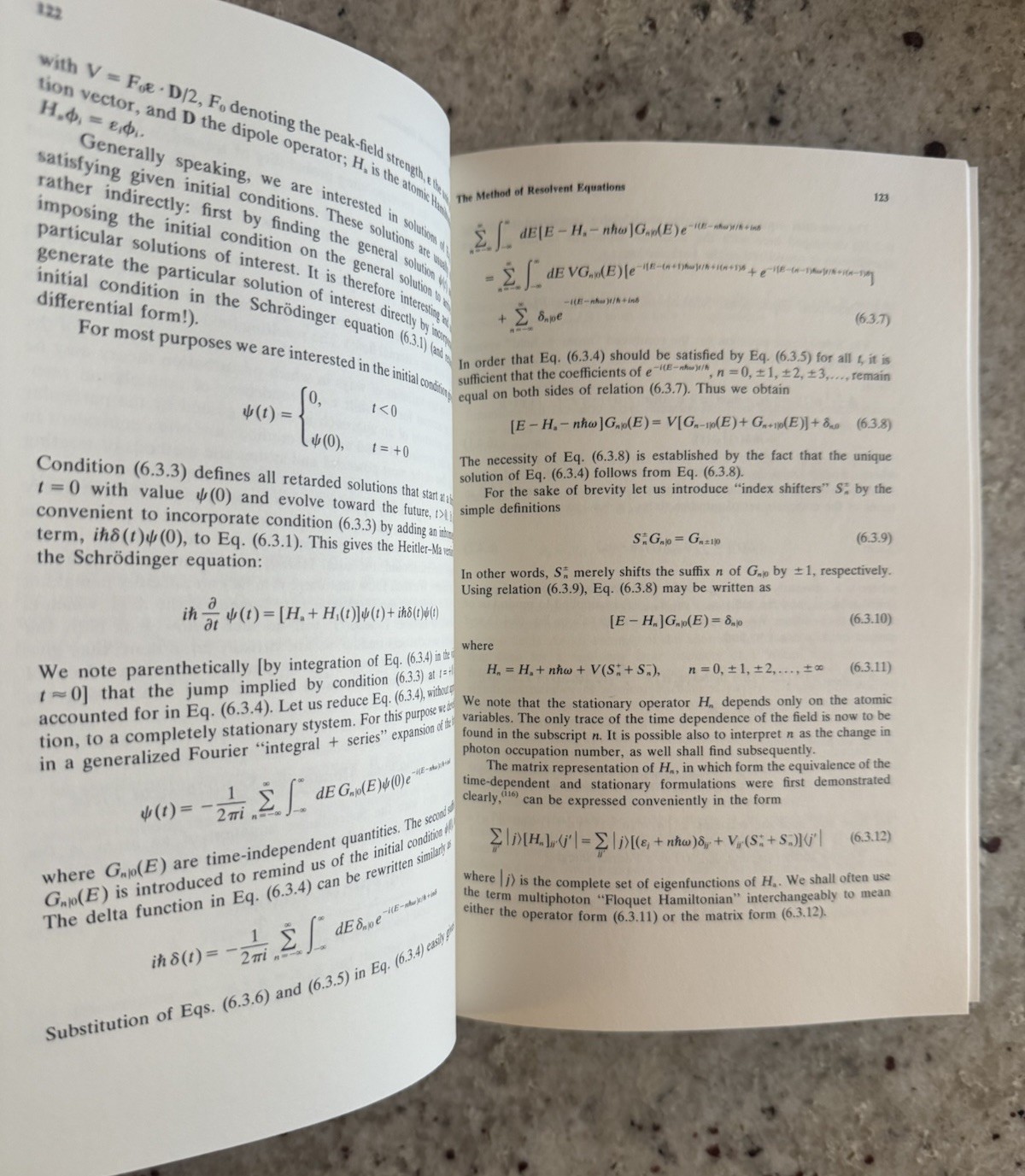 LANL Scientist Copy! Theory of Multiphoton Processes by F H M Faisal 1987 HC