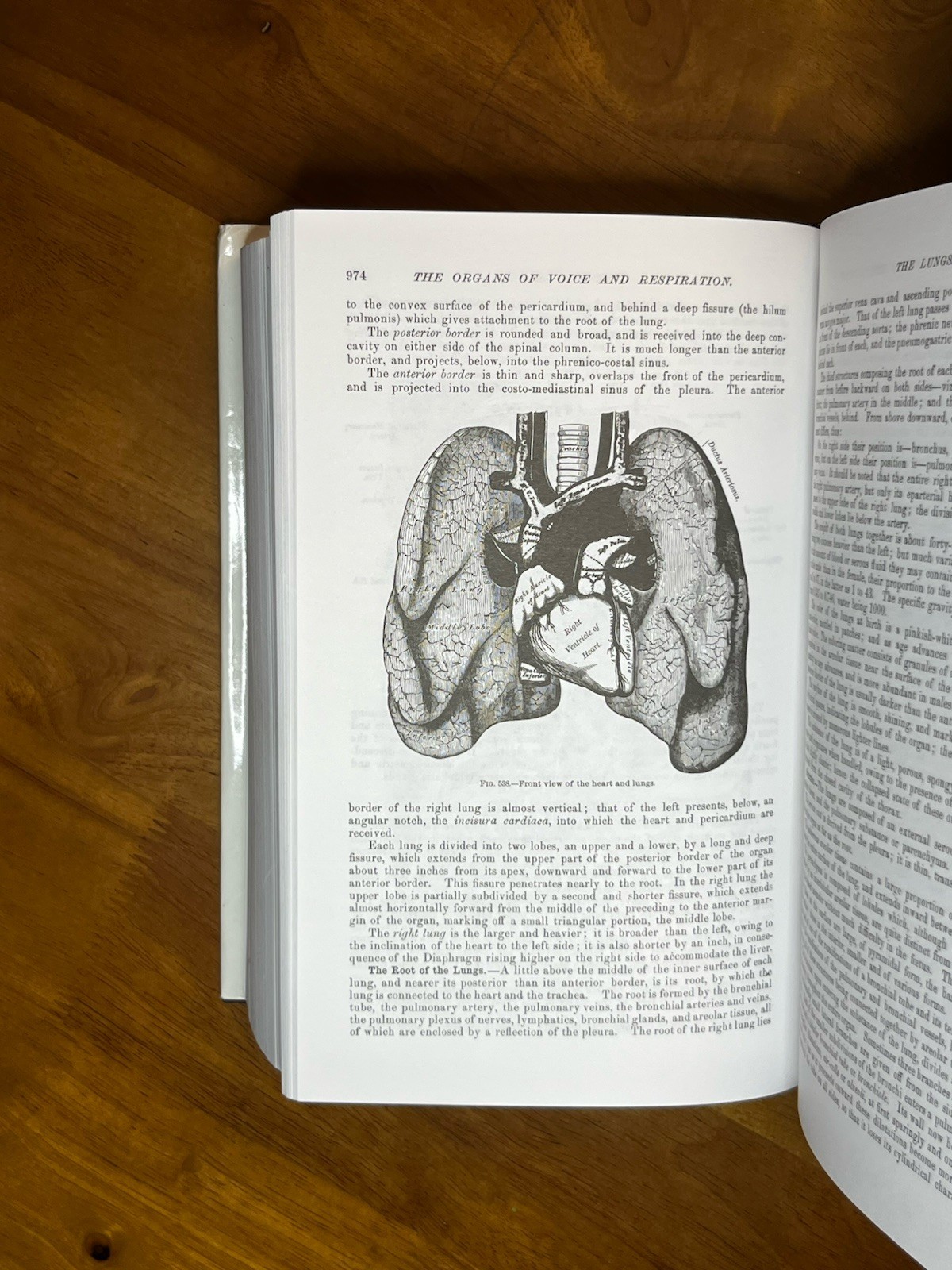 Gray’s Anatomy Unabridged Running Press Edition HC Illustrated 1991 Henry Gray
