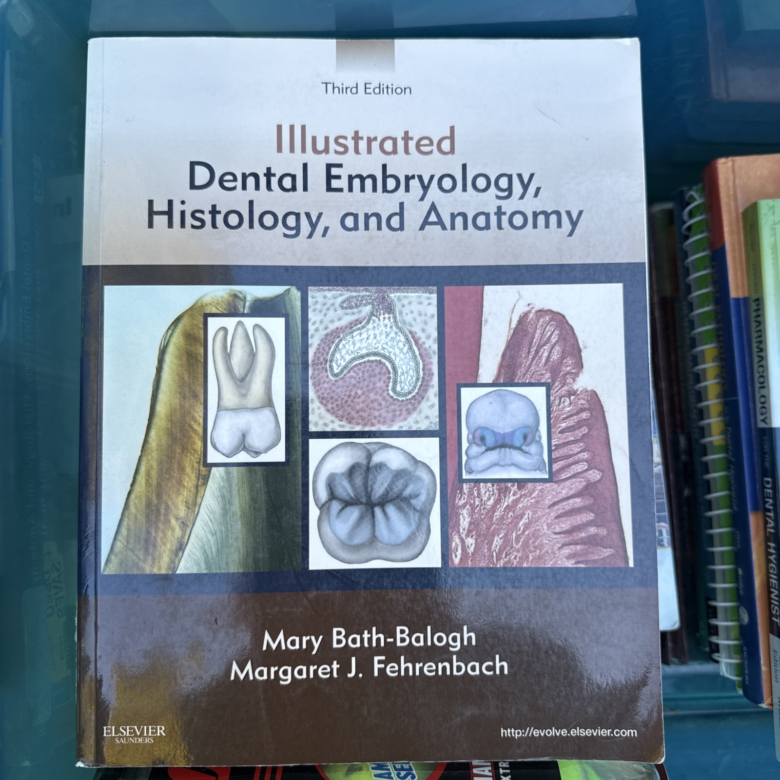 Illustrated Dental Embryology, Histology, and Anatomy by Margaret J. Fehrenbach