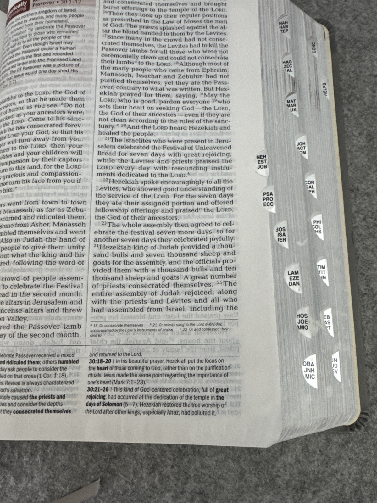 The Jeremiah Study Bible, NIV: (Gray W/ Burnished Edges) Leatherluxe Worthy
