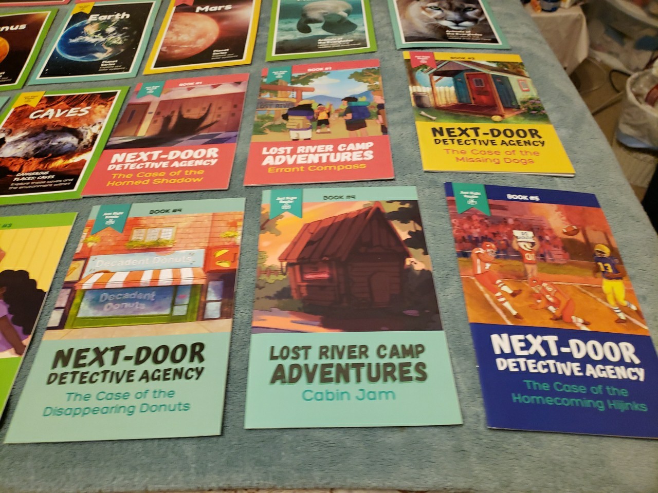 Decodables Just Right Readers High Interest Dyslexia Tutoring Lot Of 25